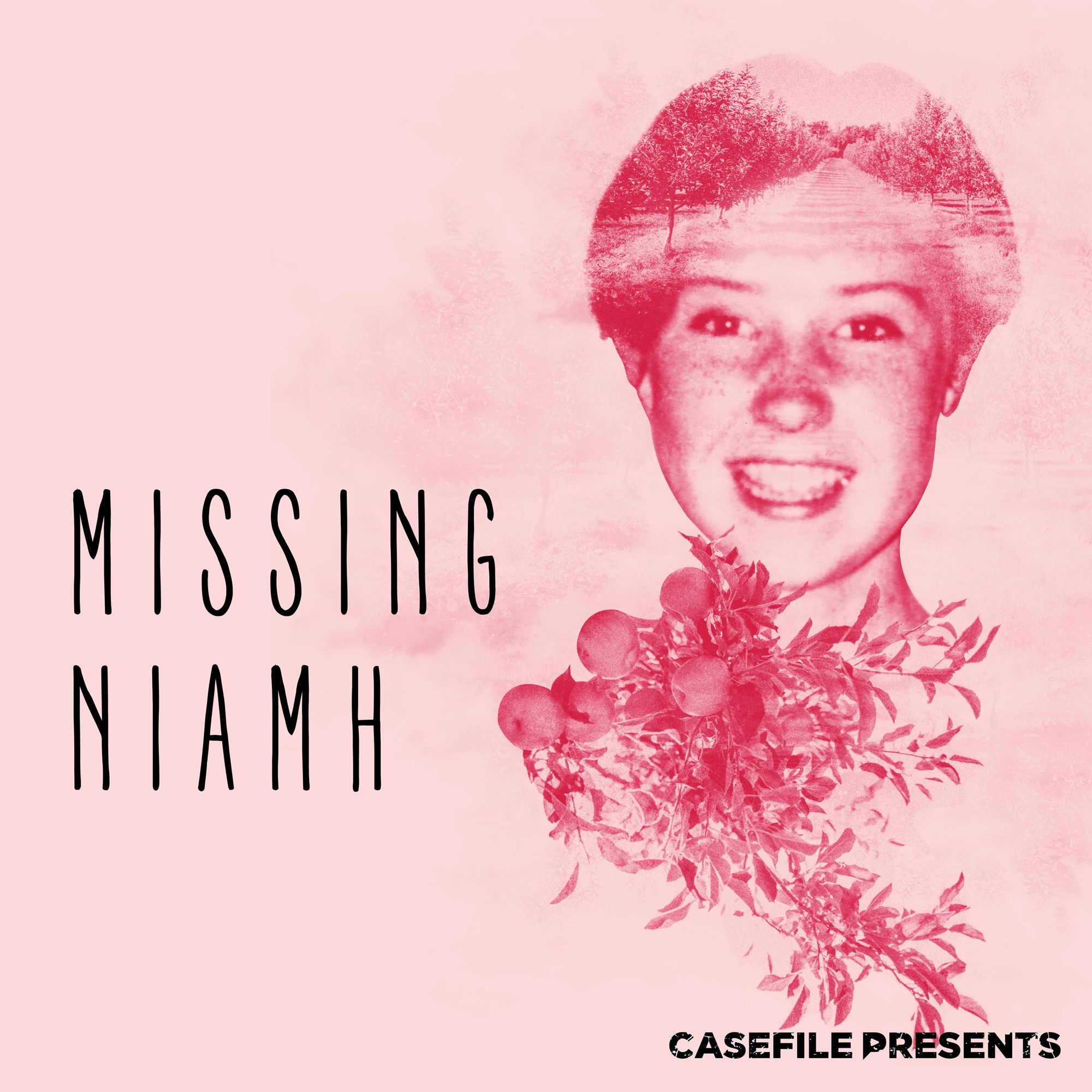 Missing Niamh by Casefile Presents