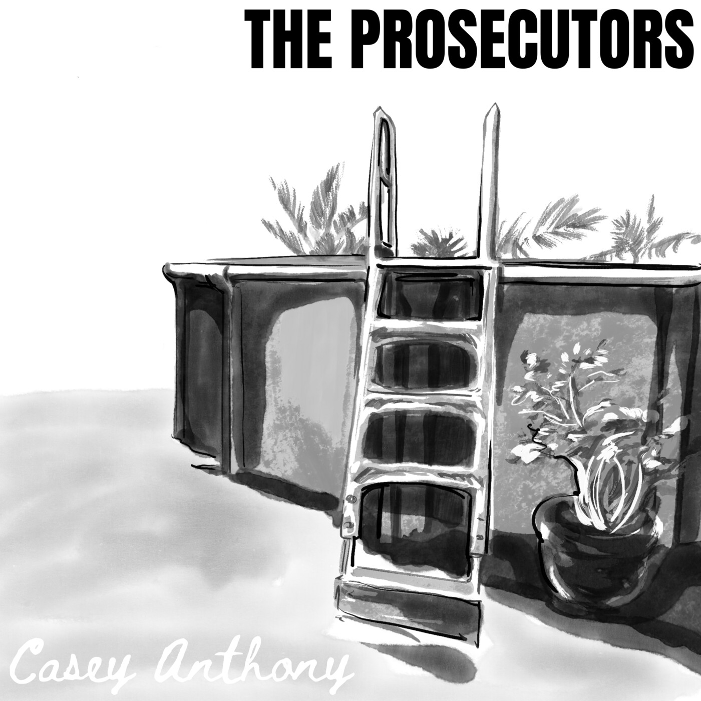 143. The Trial of Casey Anthony Part 6 by PodcastOne