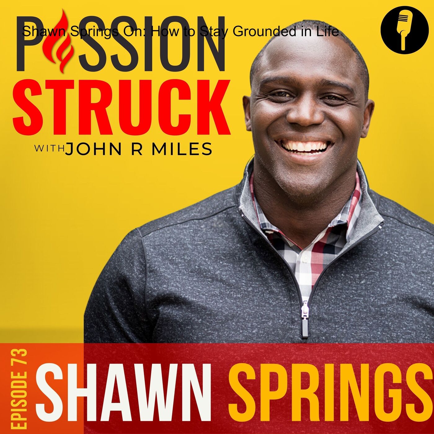 Shawn Springs On: How to Stay Grounded in Life EP 73 by Passion Struck Network