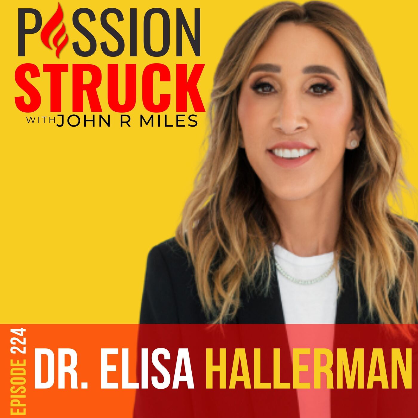 Dr. Elisa Hallerman on How to Find Meaning through Soul Work EP 224 by Passion Struck Network