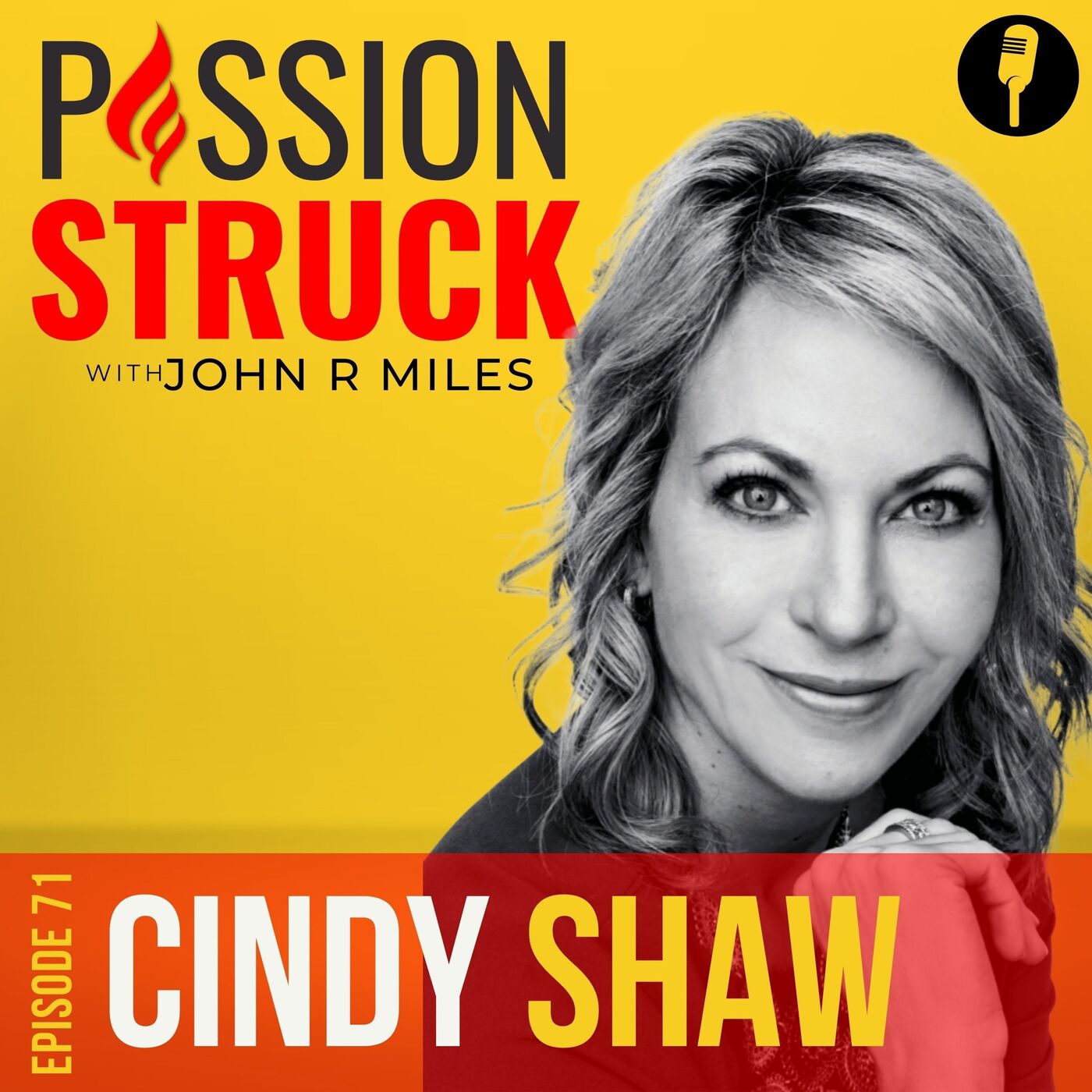 Cindy Shaw On: The Six Pillars of Brain Health EP 71 by John R. Miles