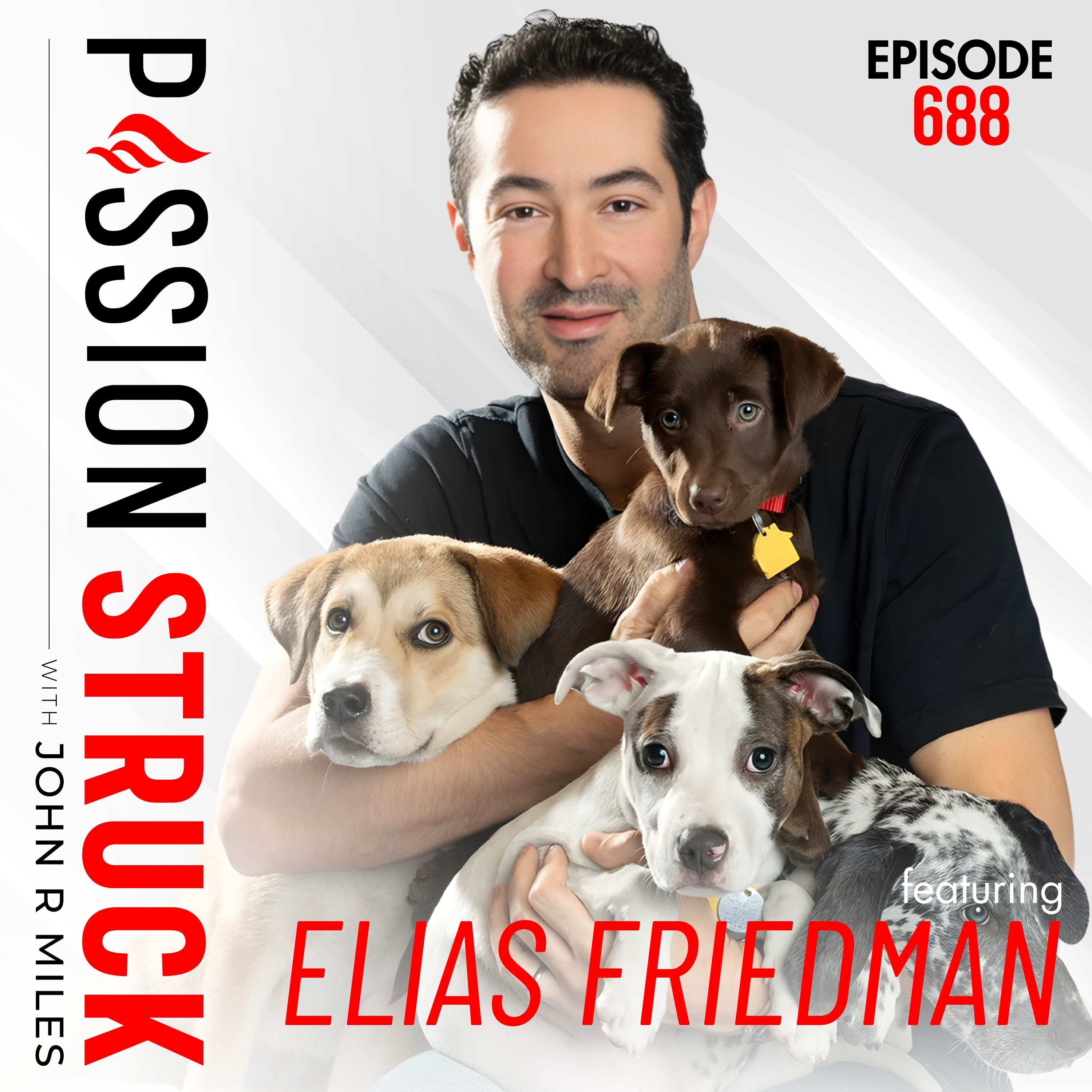 Elias Weiss Friedman (The Dogist) on How Dogs Help Us To Matter More | EP 688 by Passion Struck Network