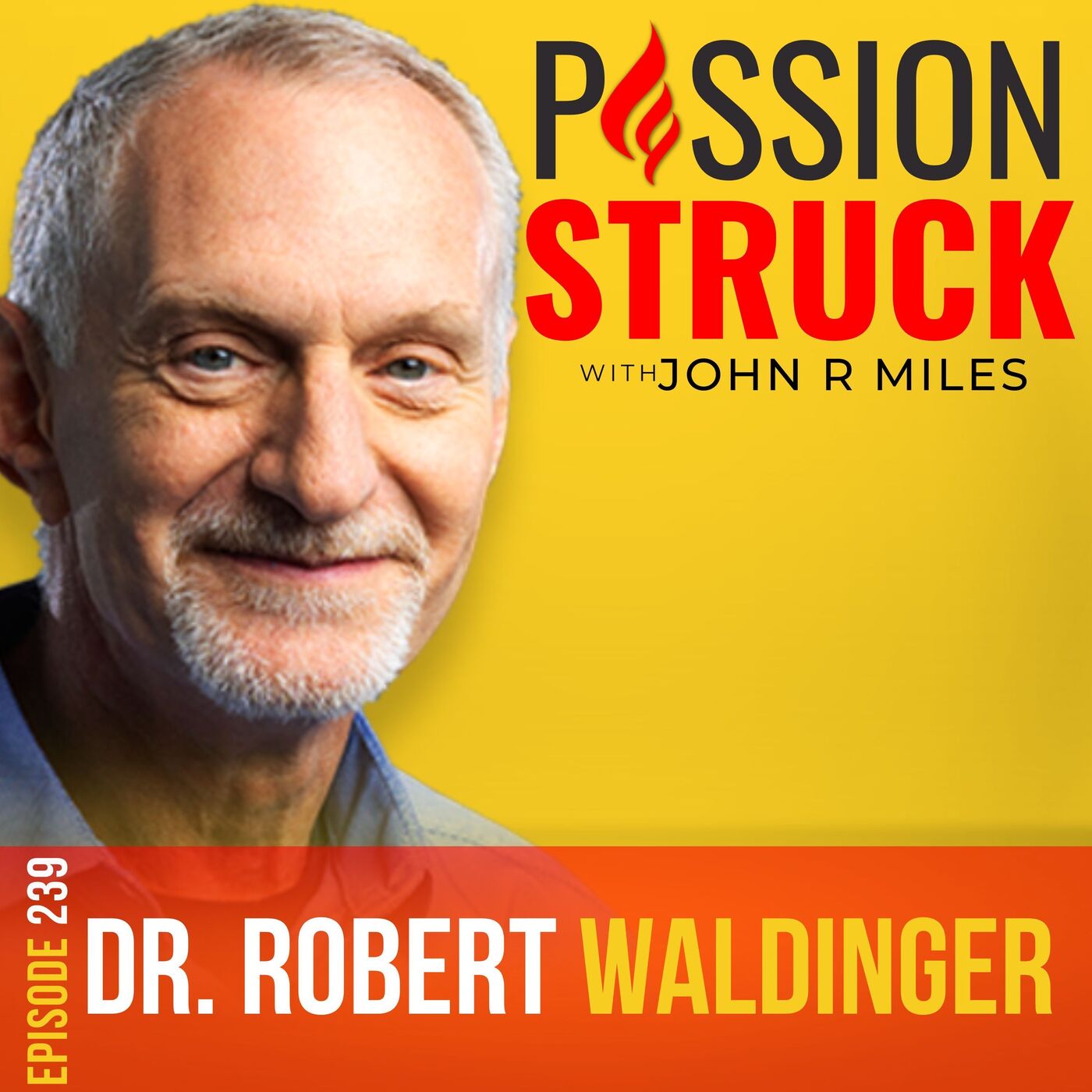 Robert Waldinger on What Are the Keys to Living a Good Life EP 239 by John R. Miles