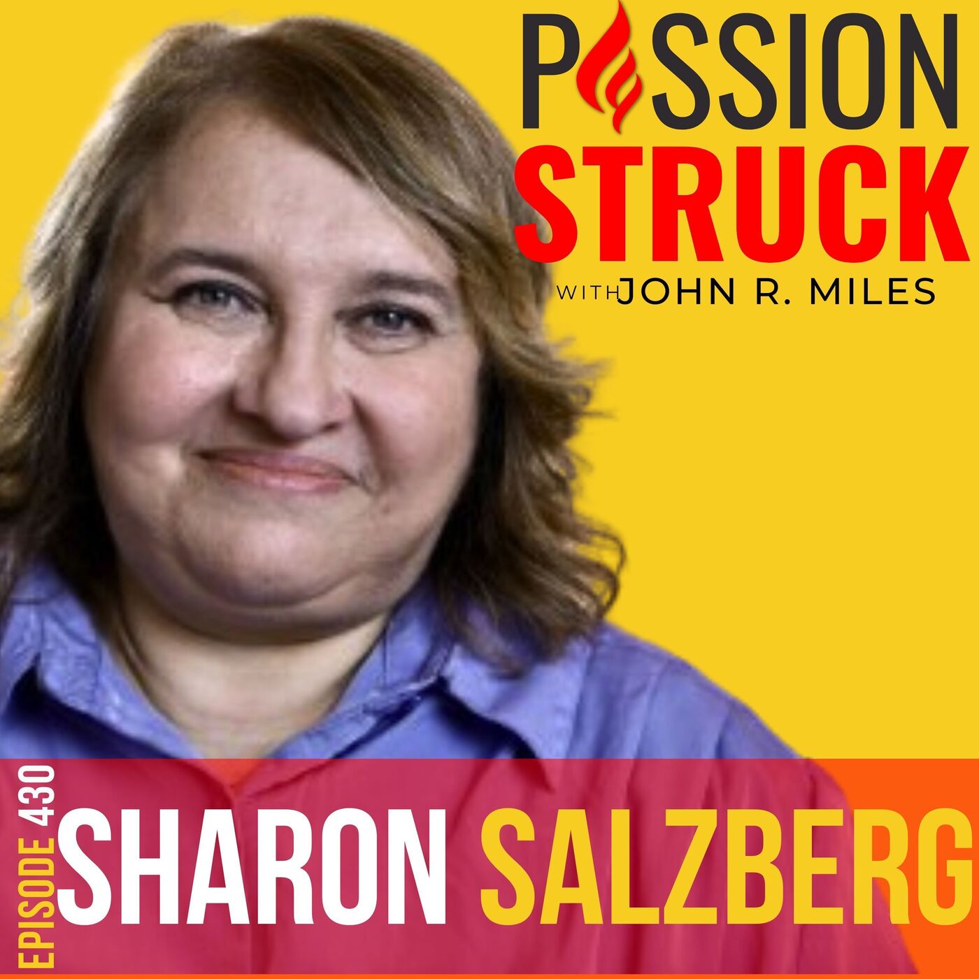 Sharon Salzberg on Finding Balance, Strength and Equanimity EP 430 by John R. Miles