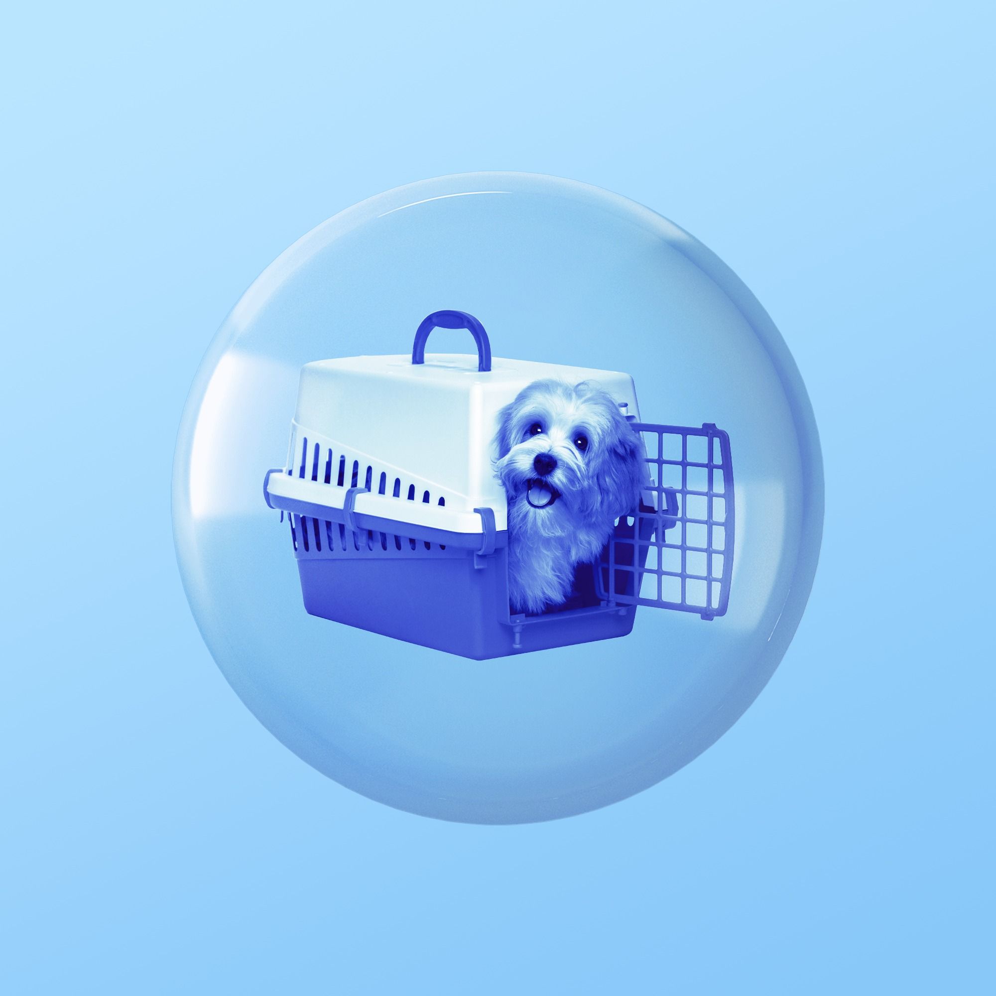 Traveling With Pets by Caira Blackwell, Christine Cyr Clisset, Rosie Guerin, Mel Plaut