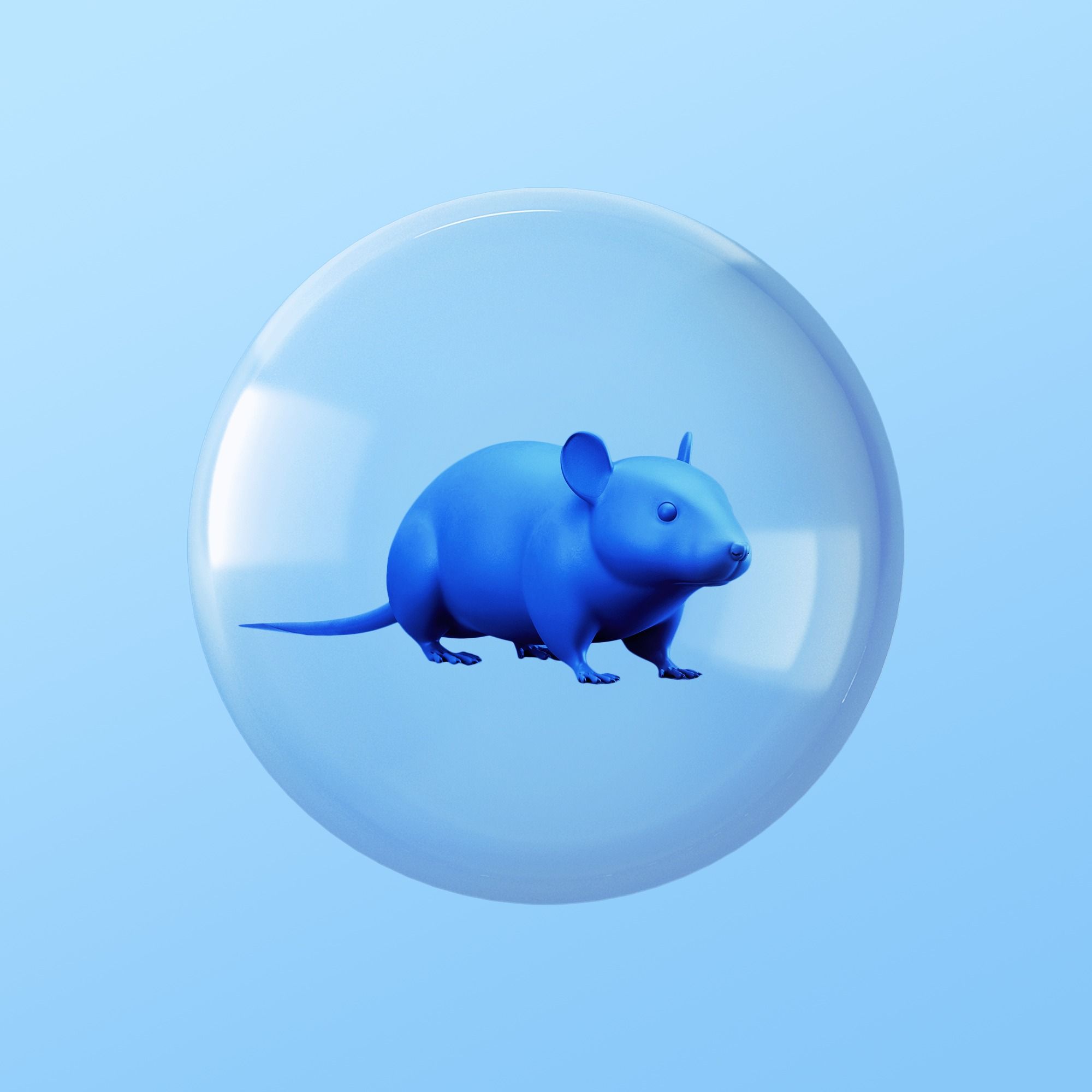 How To Win the War Against Mice by Doug Mahoney, Christine Cyr Clisset, Caira Blackwell, Rosie Guerin