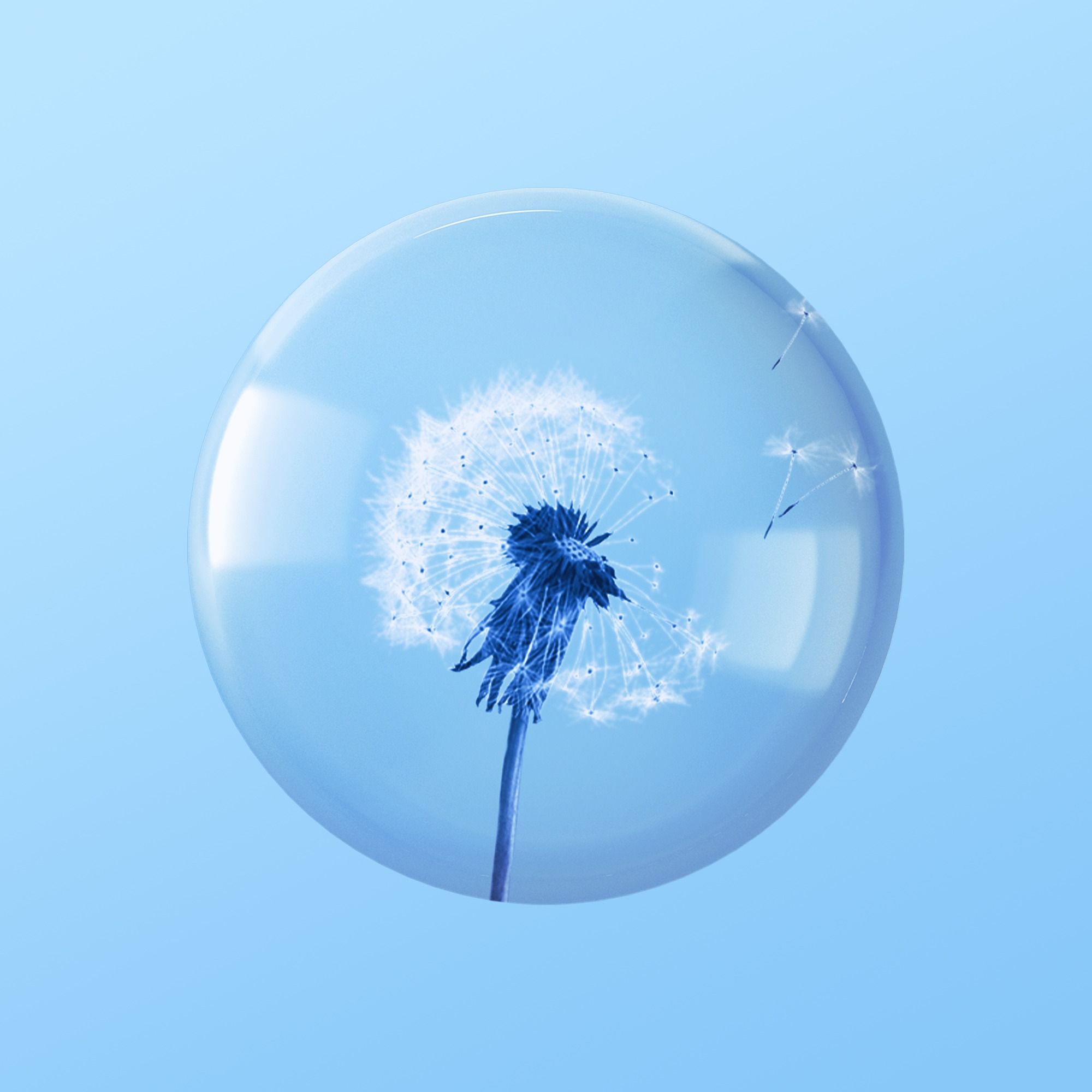 Seasonal Allergies Are Getting Worse by Nina Agrawal, Rosie Guerin, Christine Cyr Clisset, Caira Blackwell