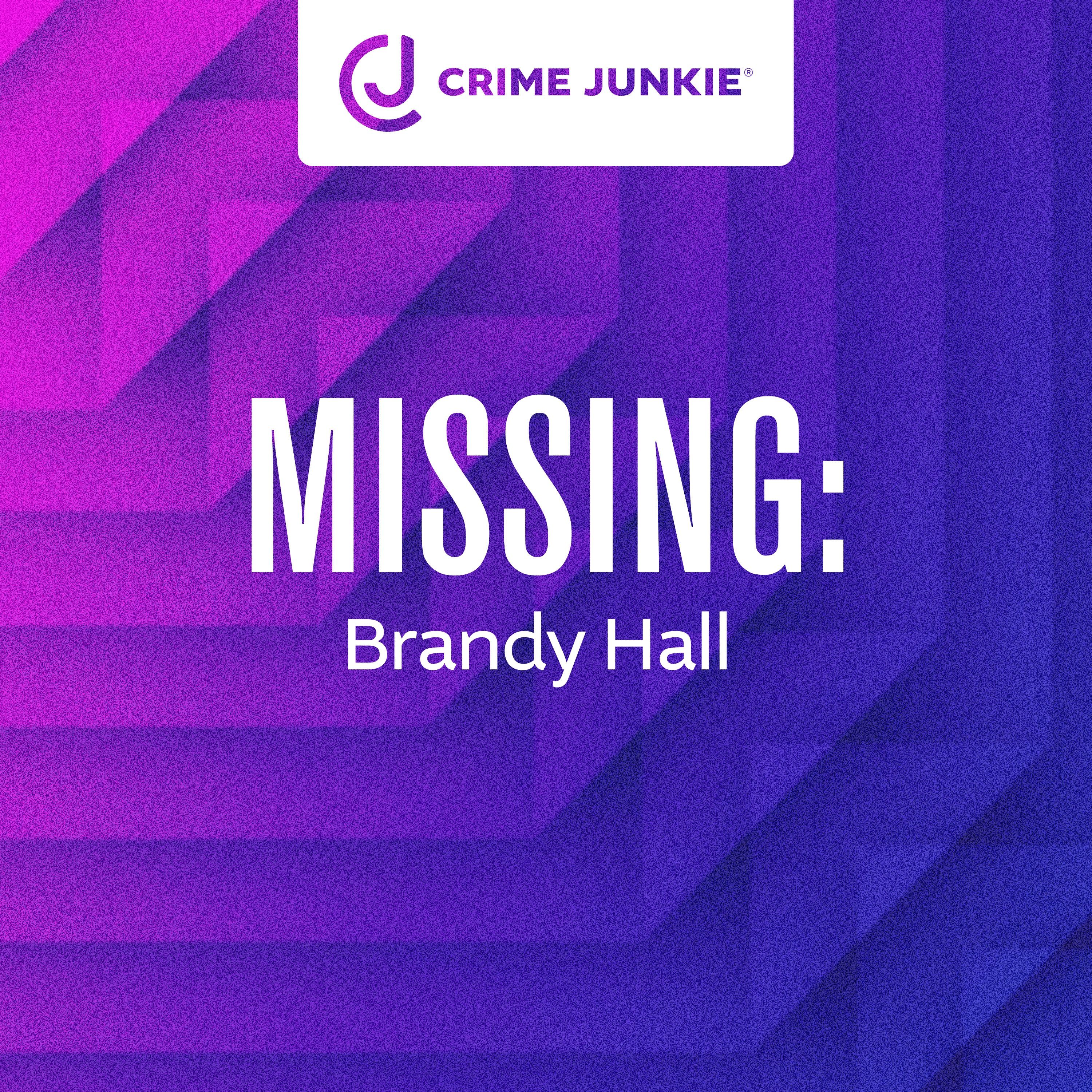 MISSING: Brandy Hall by audiochuck