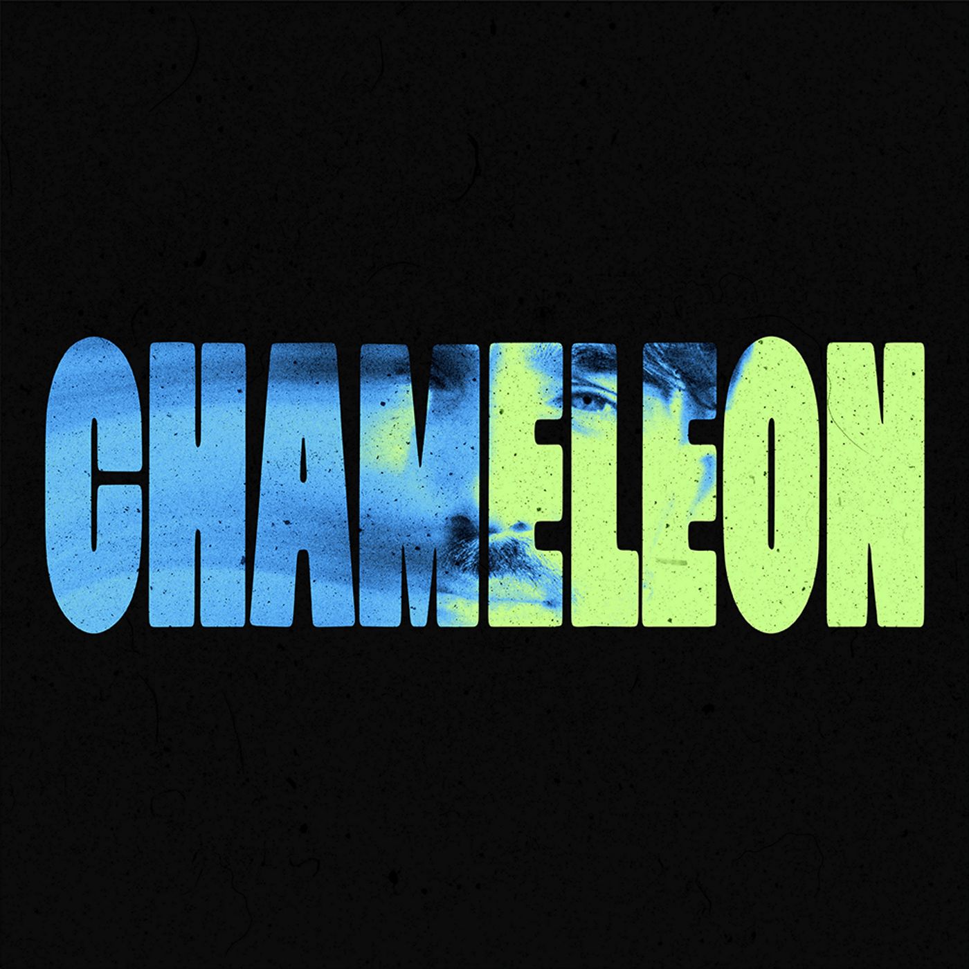 Chameleon by Campside Media