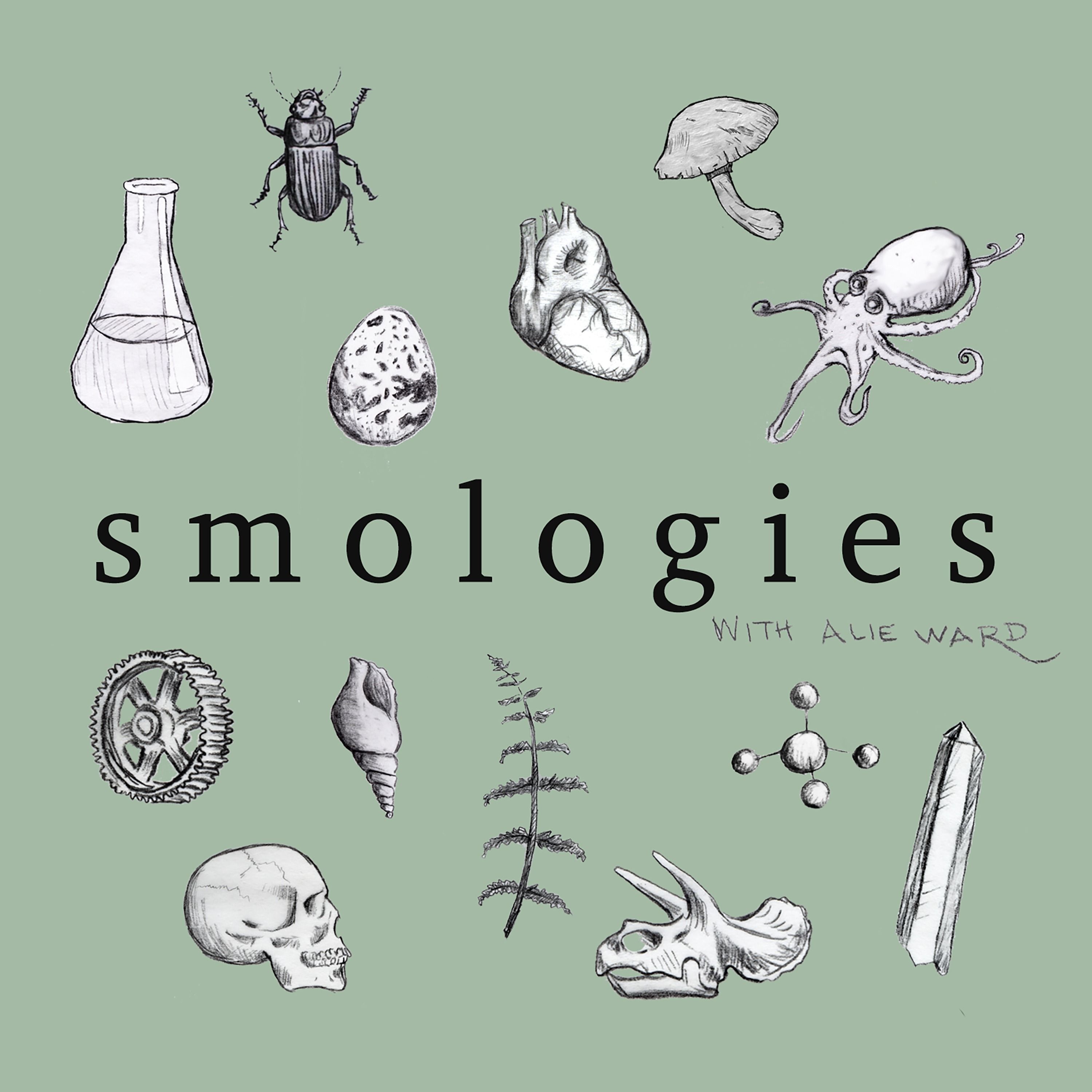 Smologies #10: BODY HEAT with Shane Campbell-Staton by Alie Ward