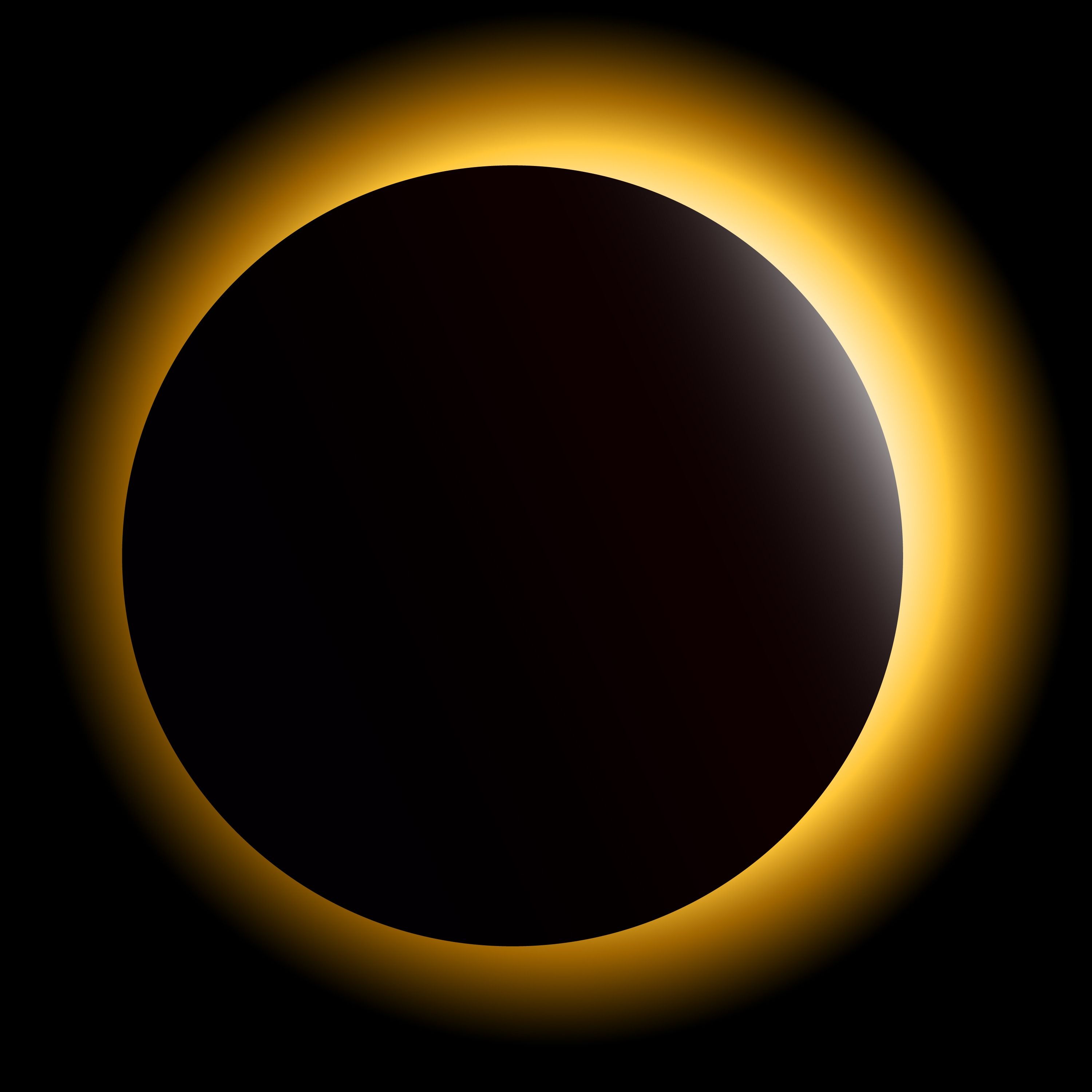 The Eclipse Chaser by The New York Times