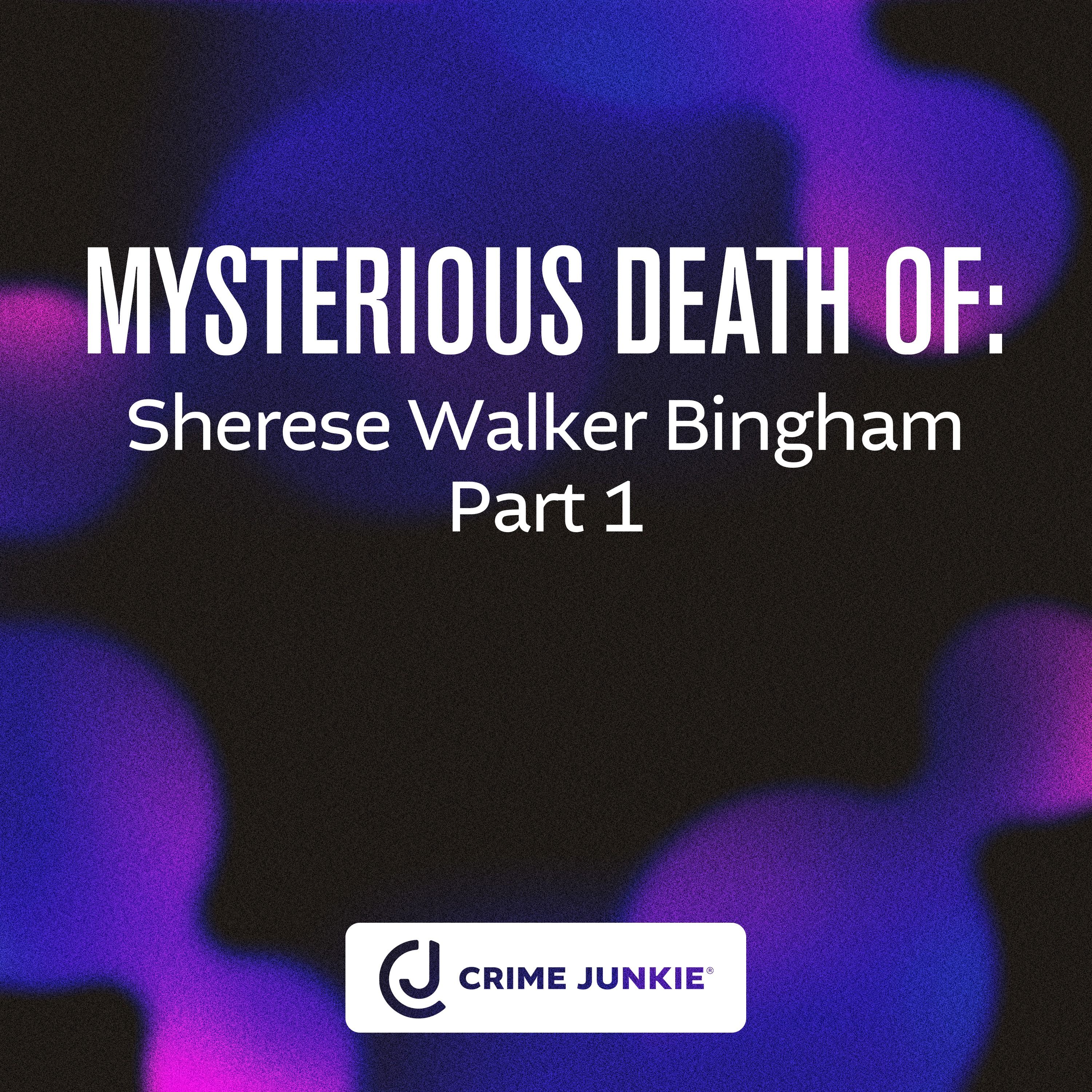 MYSTERIOUS DEATH OF: Sherese Walker Bingham Part 1 by audiochuck