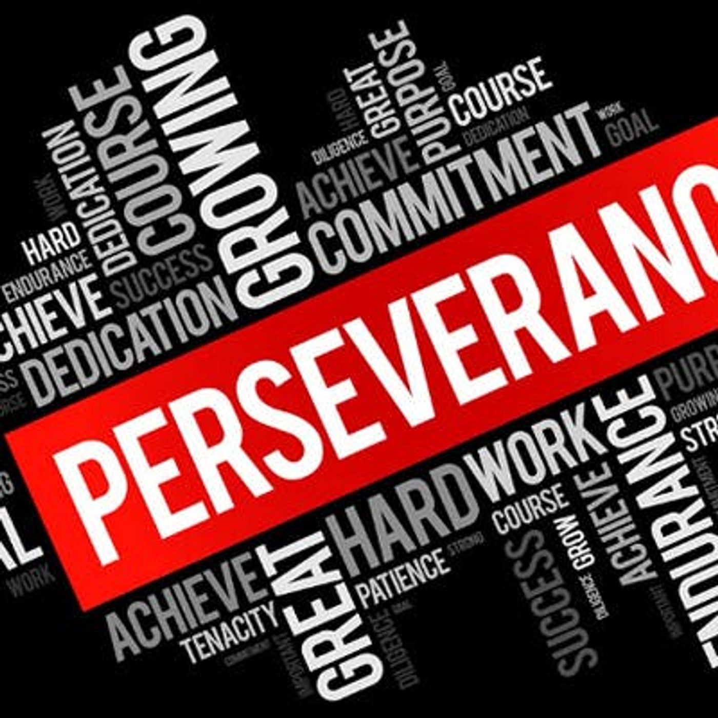 The Determined Society