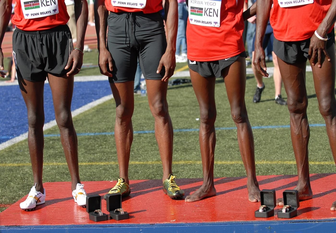 Cut and Run by WNYC Studios