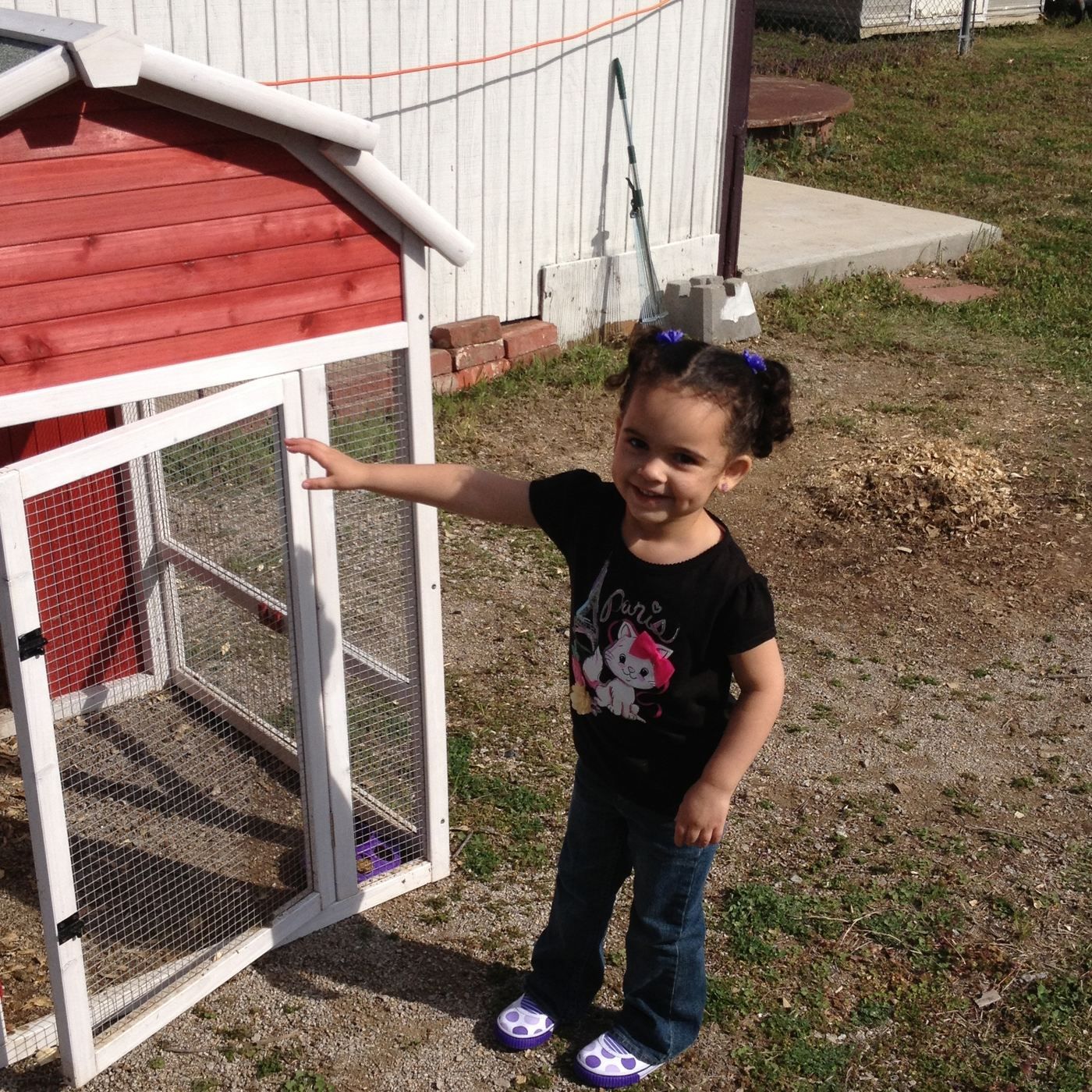 Adoptive Couple v. Baby Girl by WNYC Studios