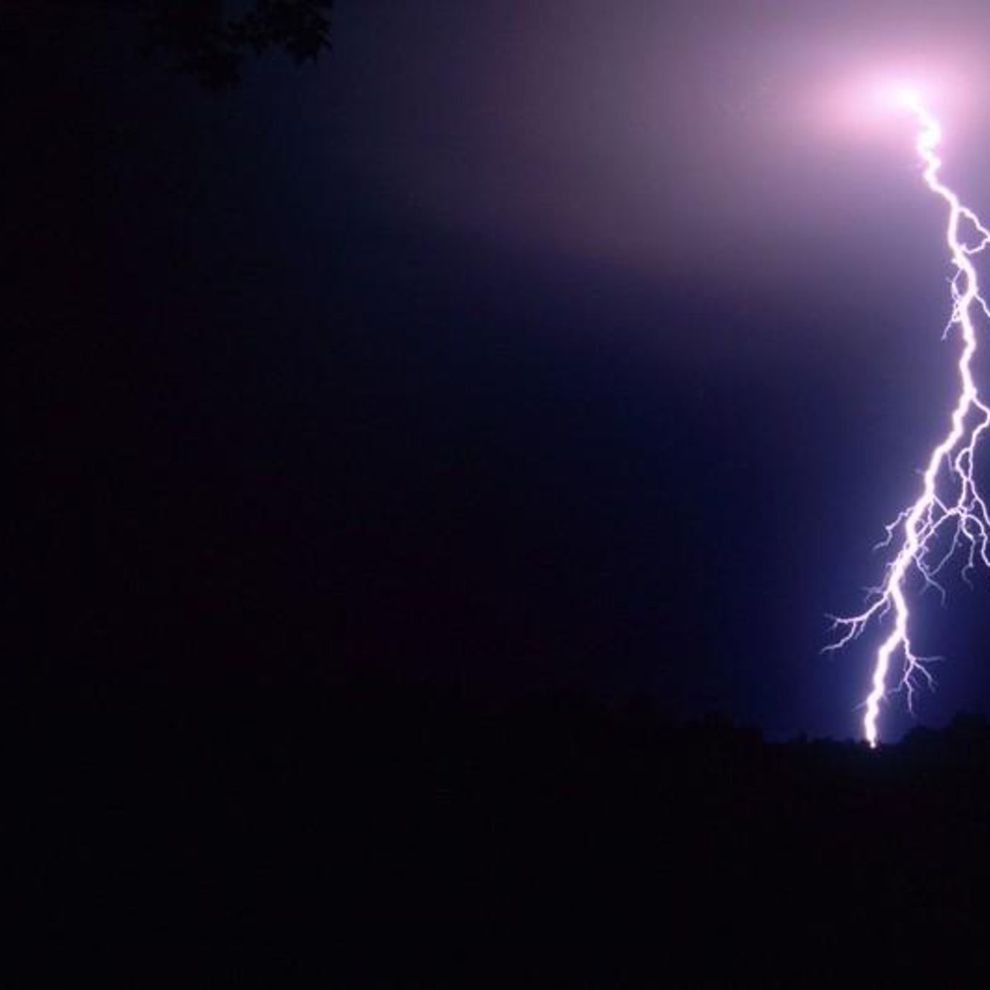 Cellmates by WNYC Studios