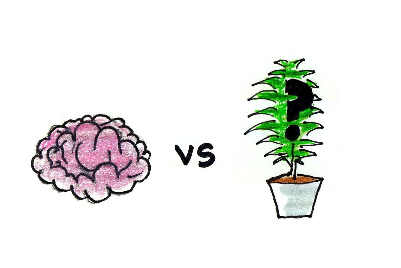 Smarty Plants by WNYC Studios