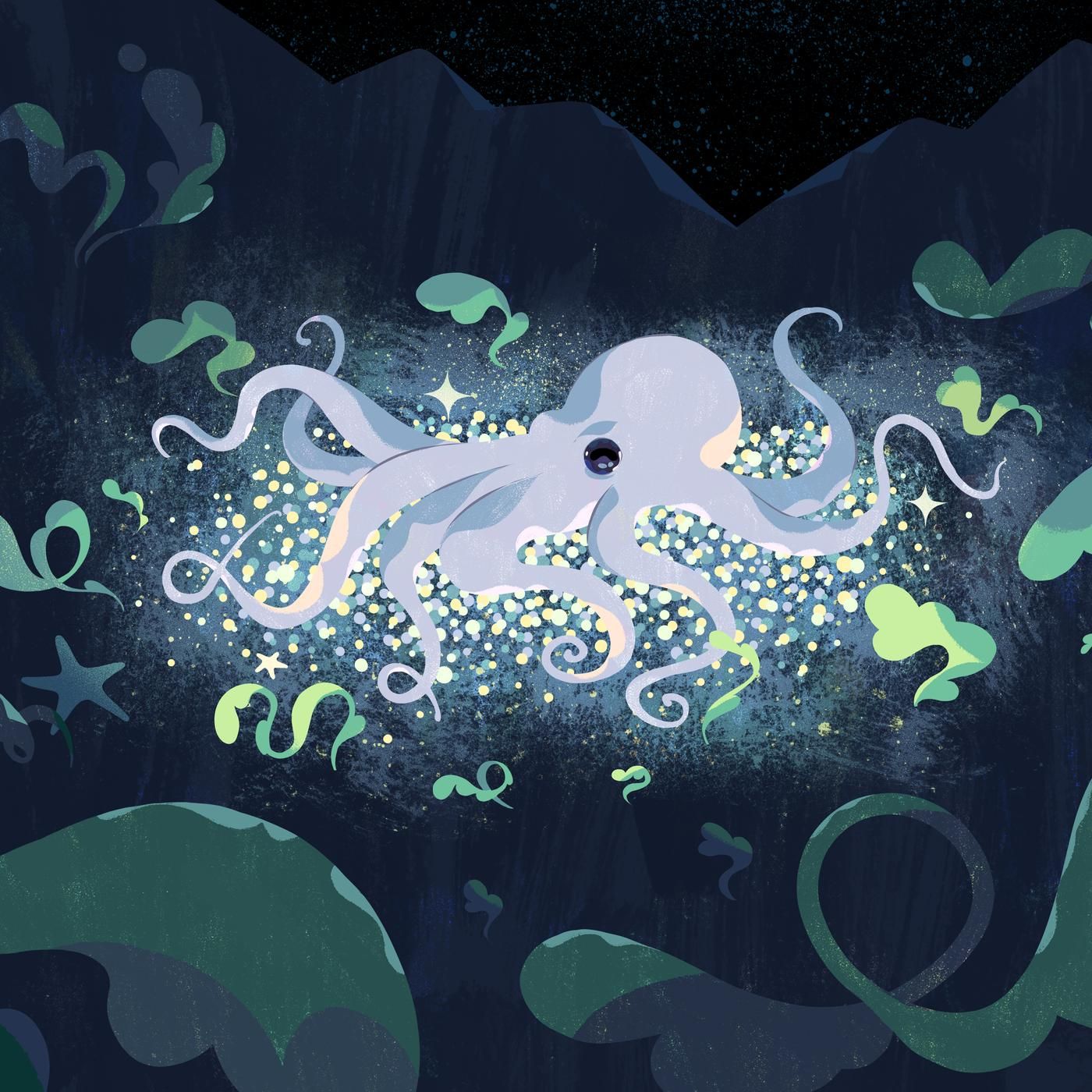 Octomom by WNYC Studios