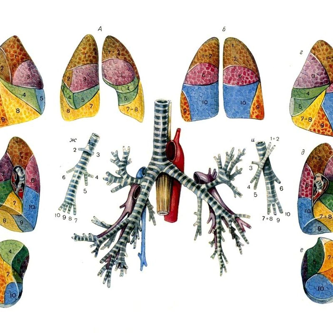 Breath by WNYC Studios