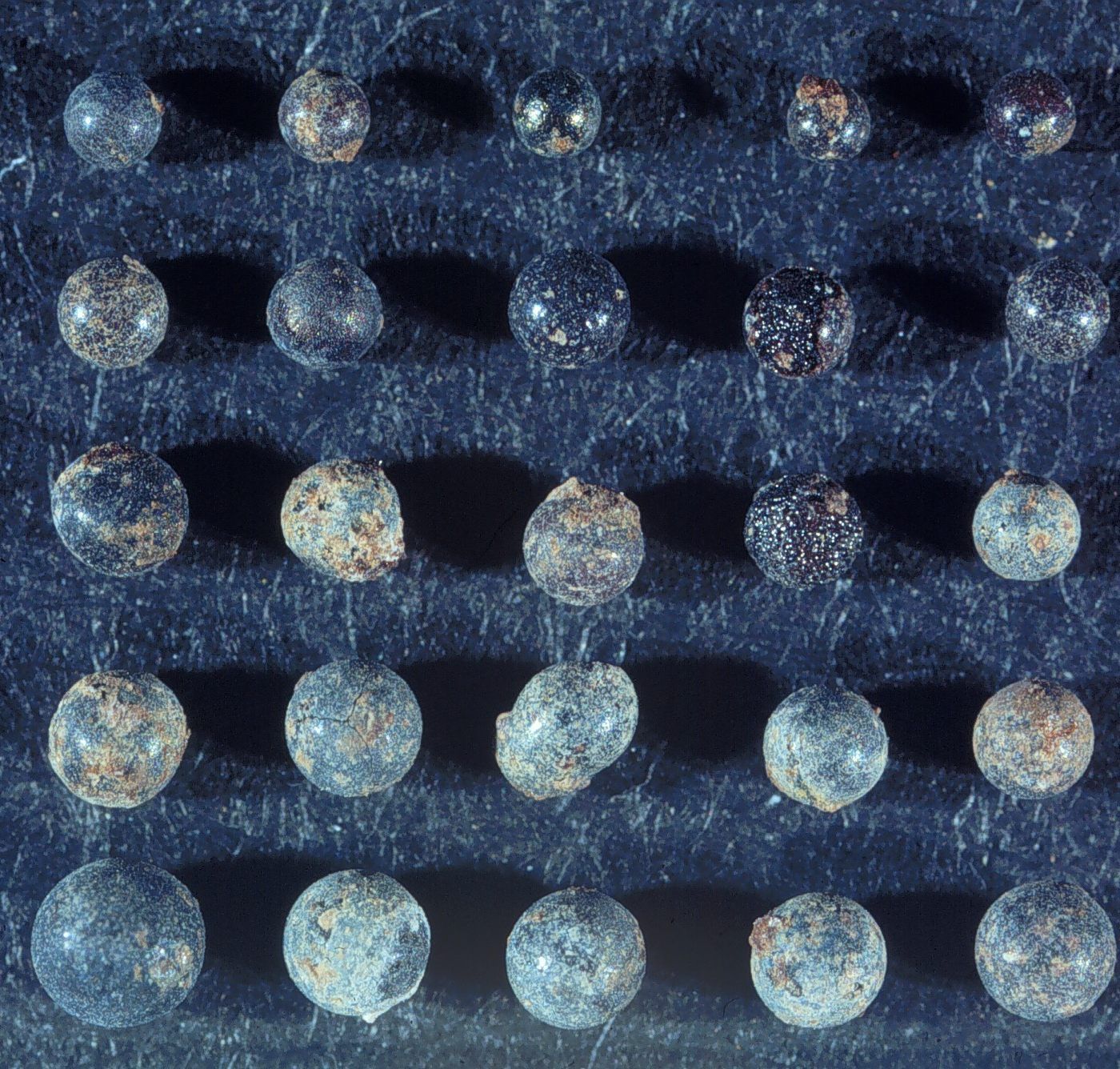 Dinopocalypse Redux by WNYC Studios