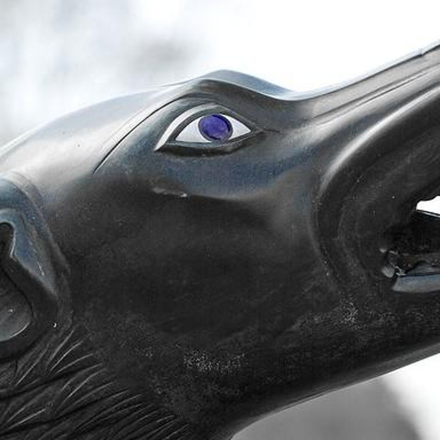 Dogs Gone Wild by WNYC Studios