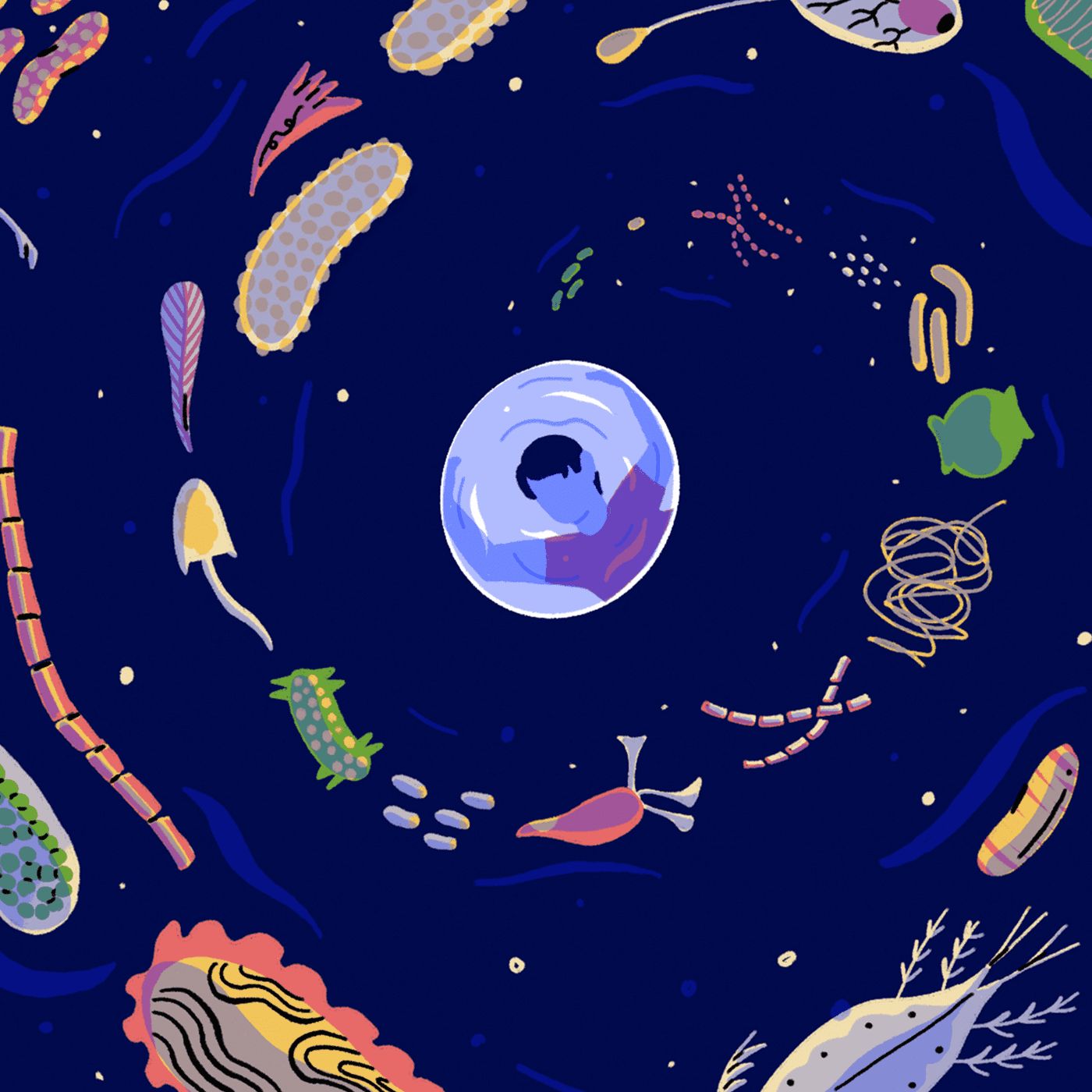 Life in a Barrel by WNYC Studios