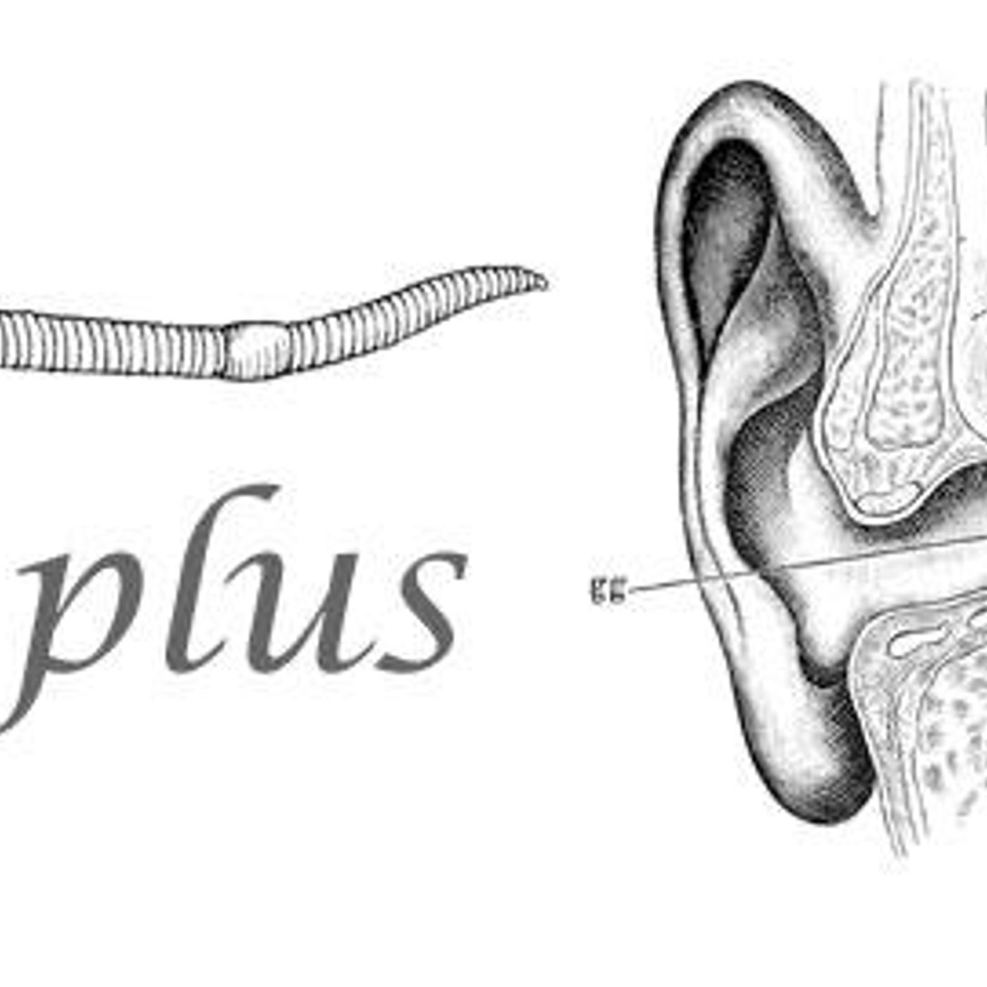 Earworms by WNYC Studios
