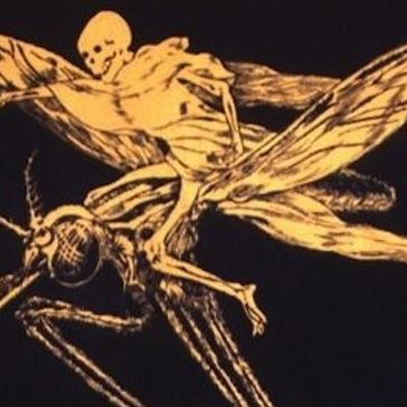 KILL 'EM ALL by WNYC Studios