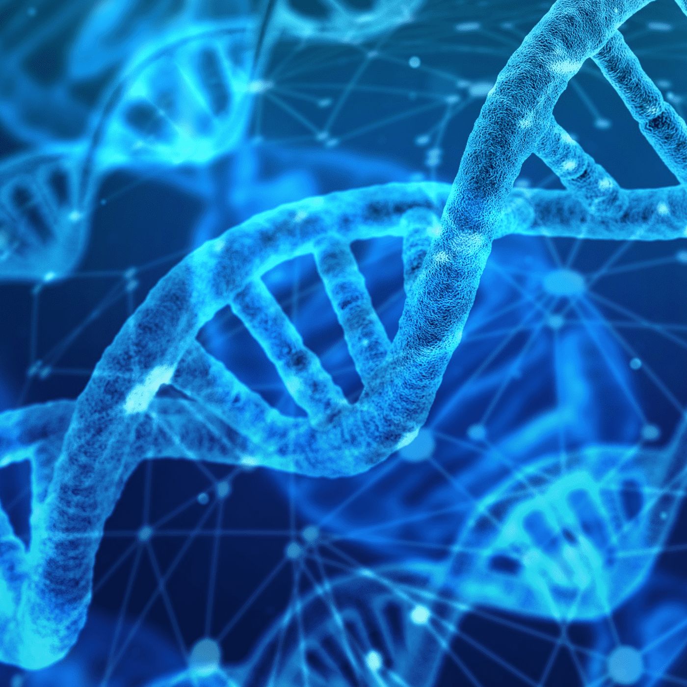 Inheritance by WNYC Studios