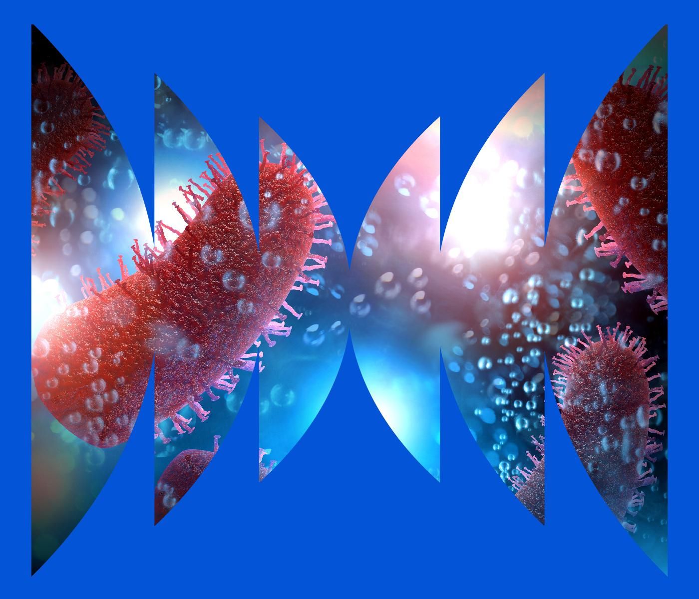 Rodney v. Death by WNYC Studios