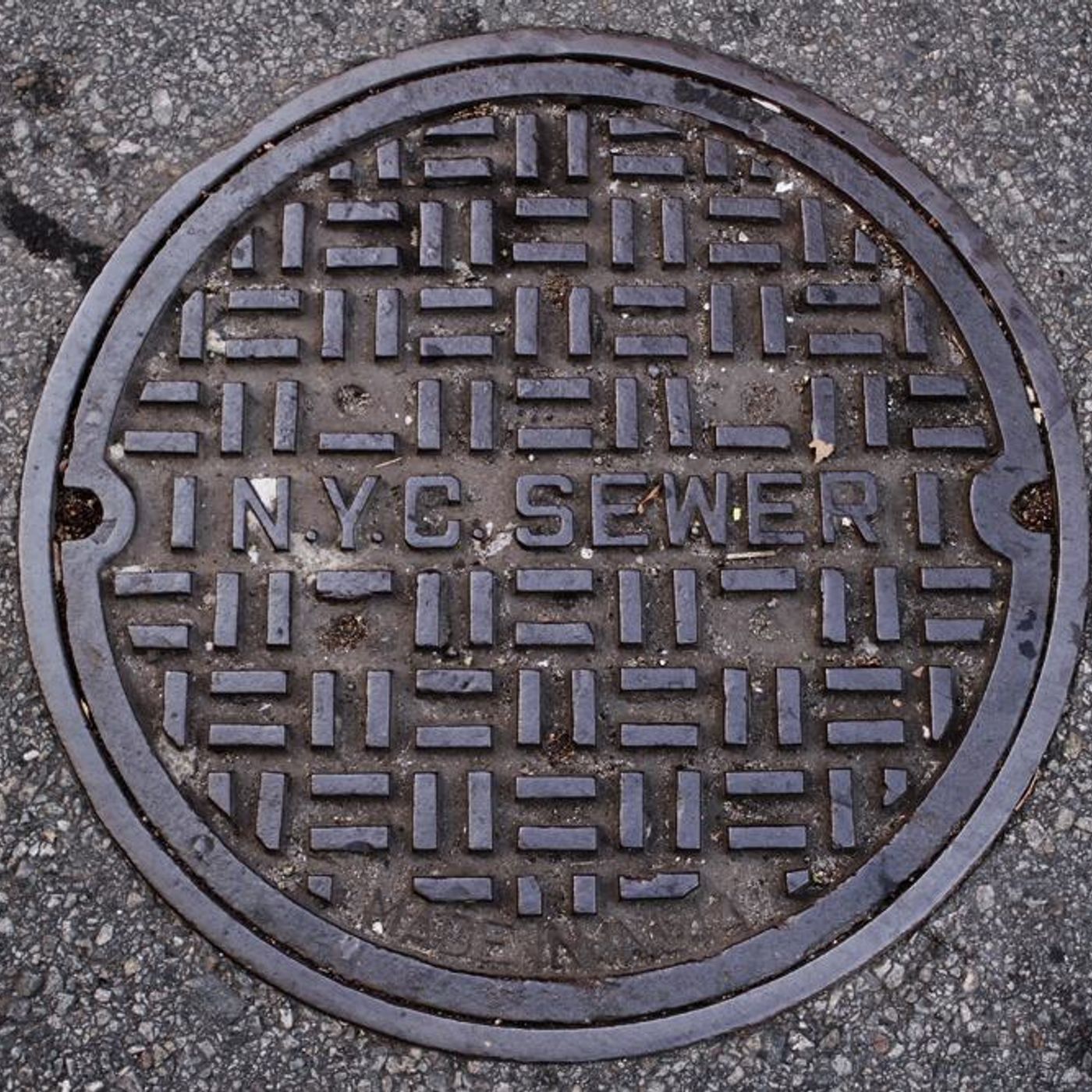 Poop Train by WNYC Studios