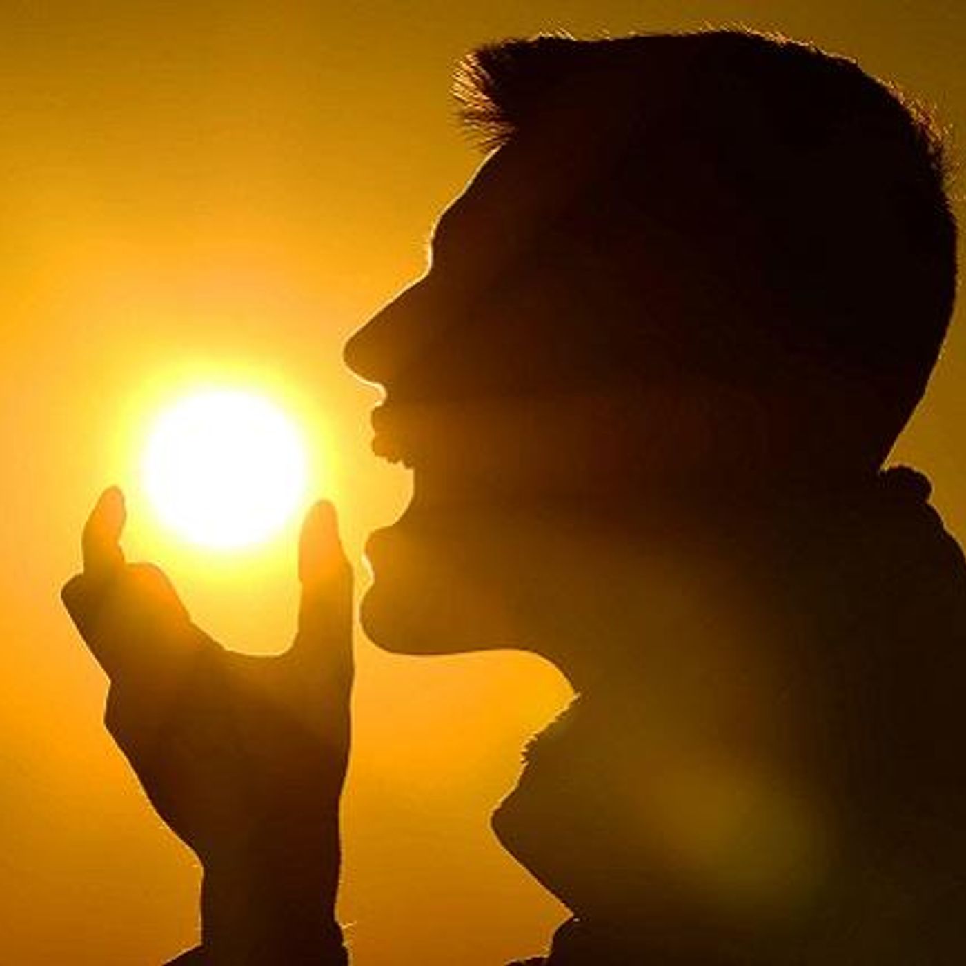 Invisible Allies by WNYC Studios