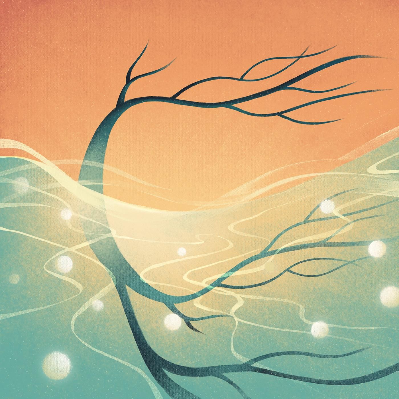 Gonads: X & Y by WNYC Studios