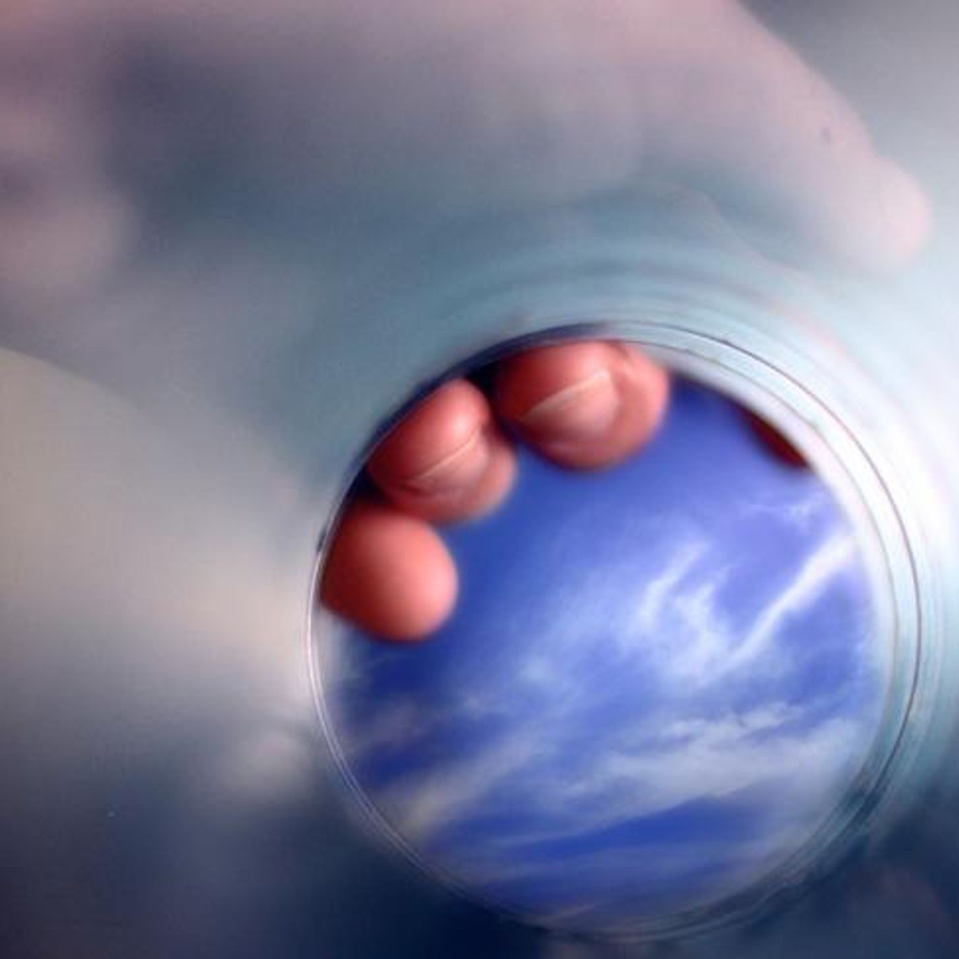 What a Slinky Knows by WNYC Studios