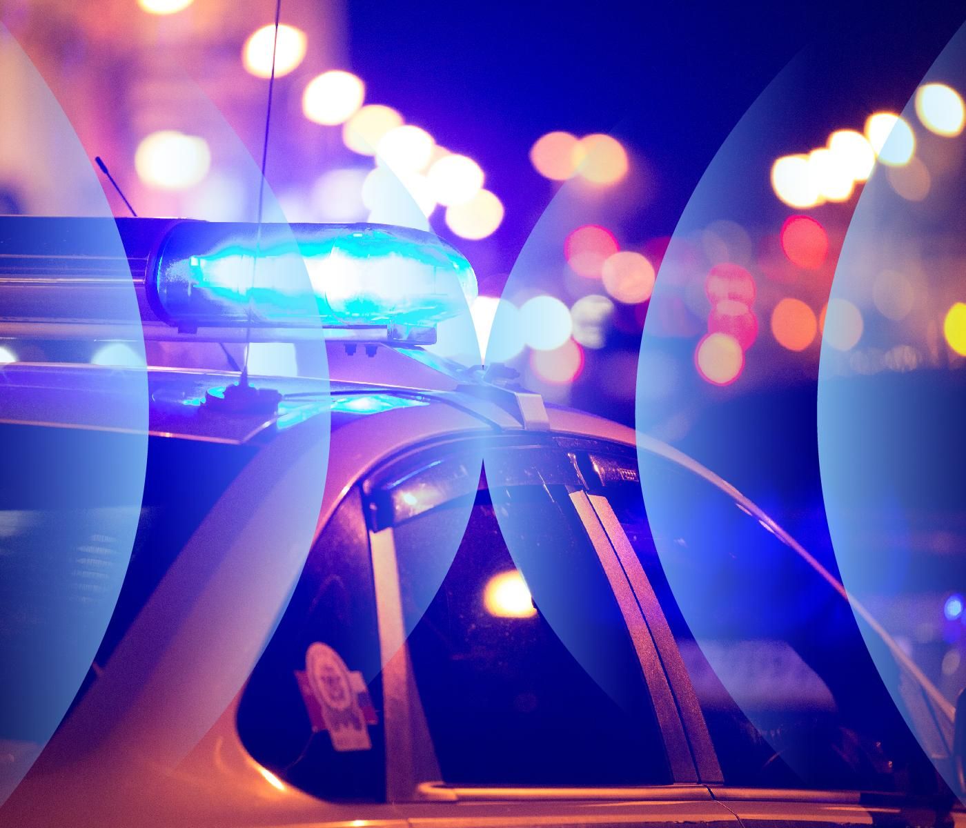 No Special Duty by WNYC Studios