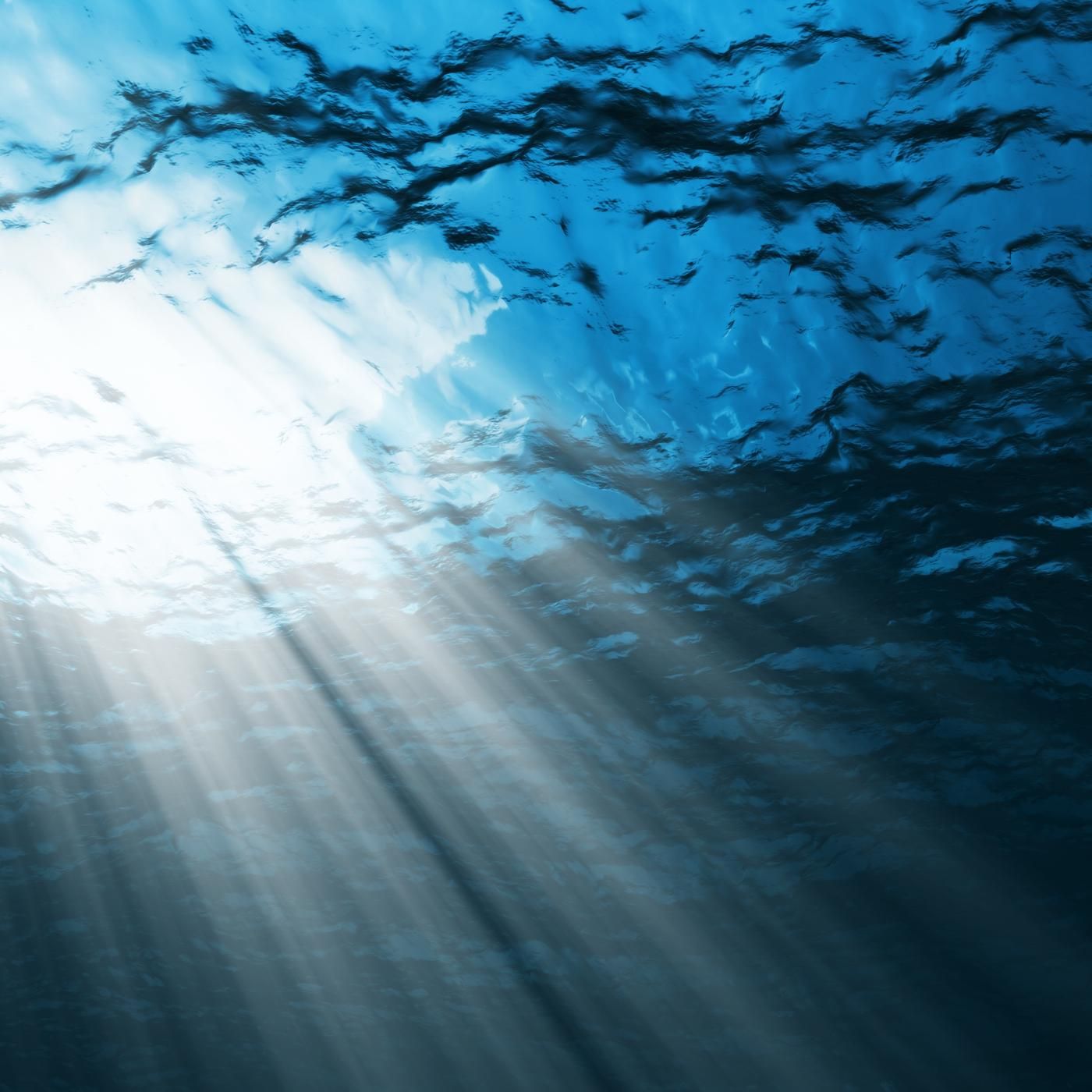 John Luther Adams by WNYC Studios