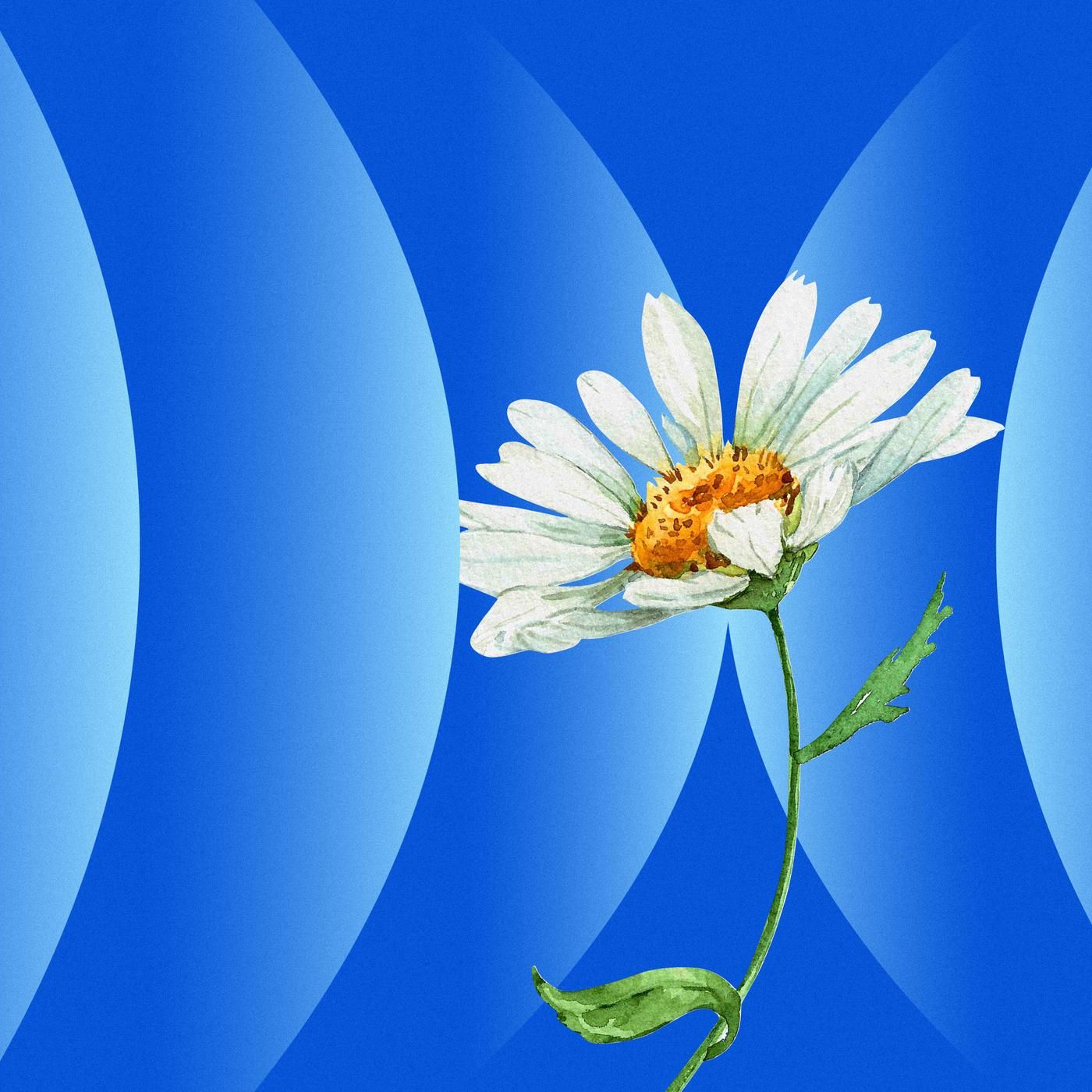 The Queen of Dying by WNYC Studios