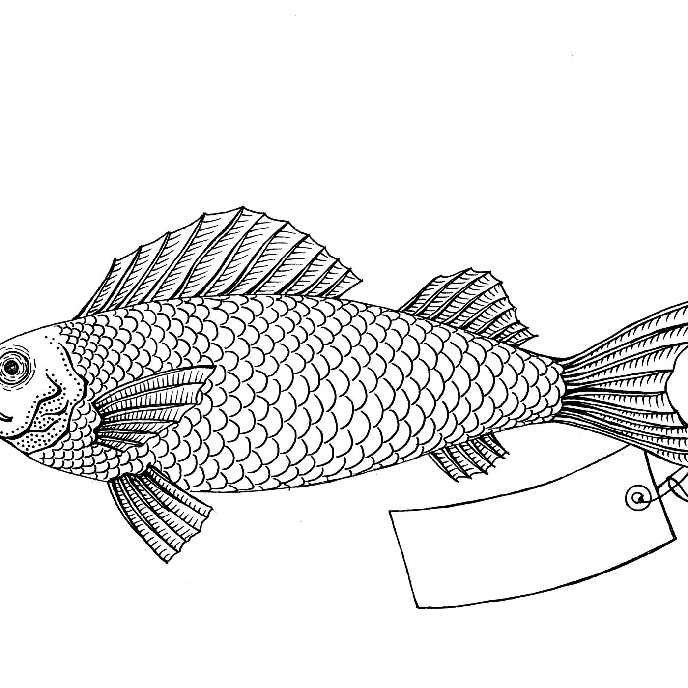 Why Fish Don't Exist by WNYC Studios