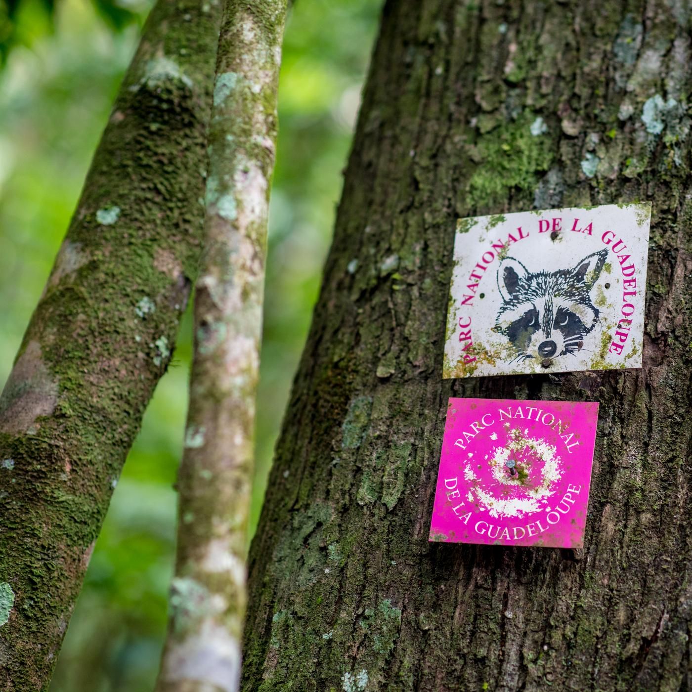 Stranger in Paradise by WNYC Studios