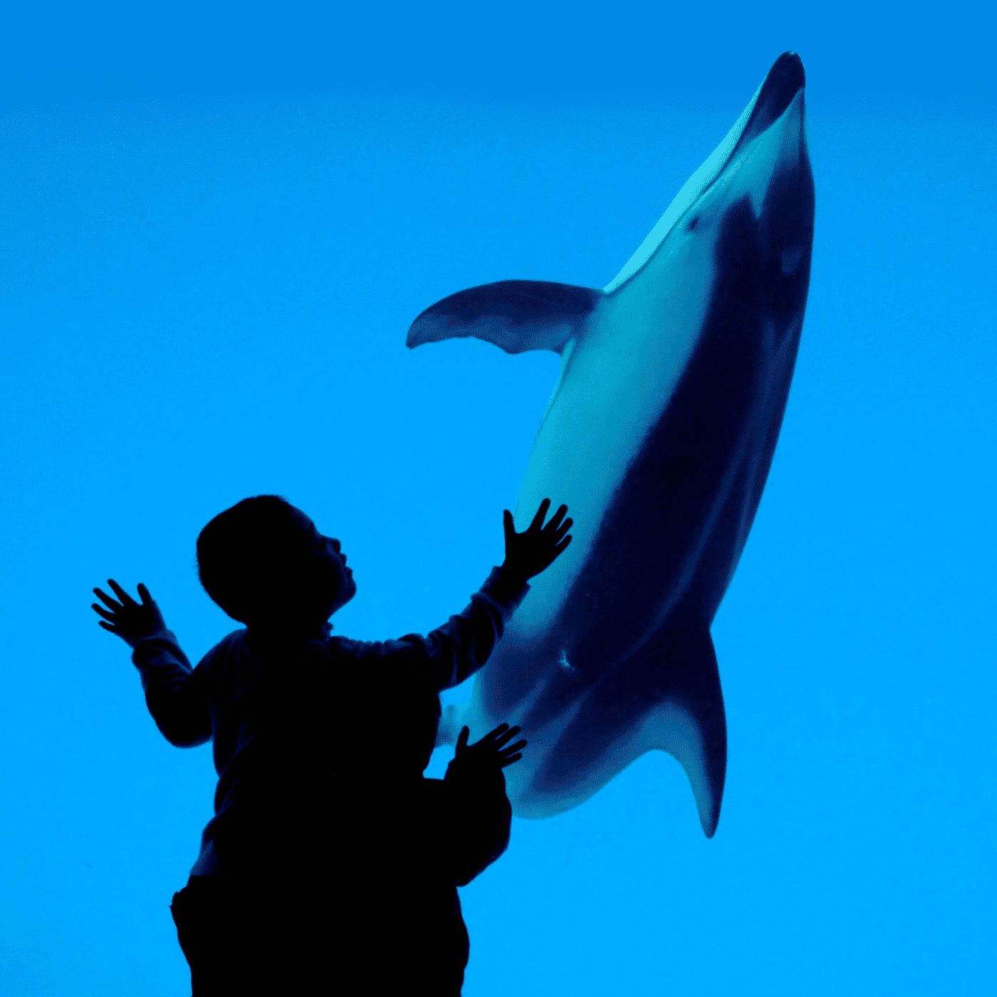 Hello by WNYC Studios