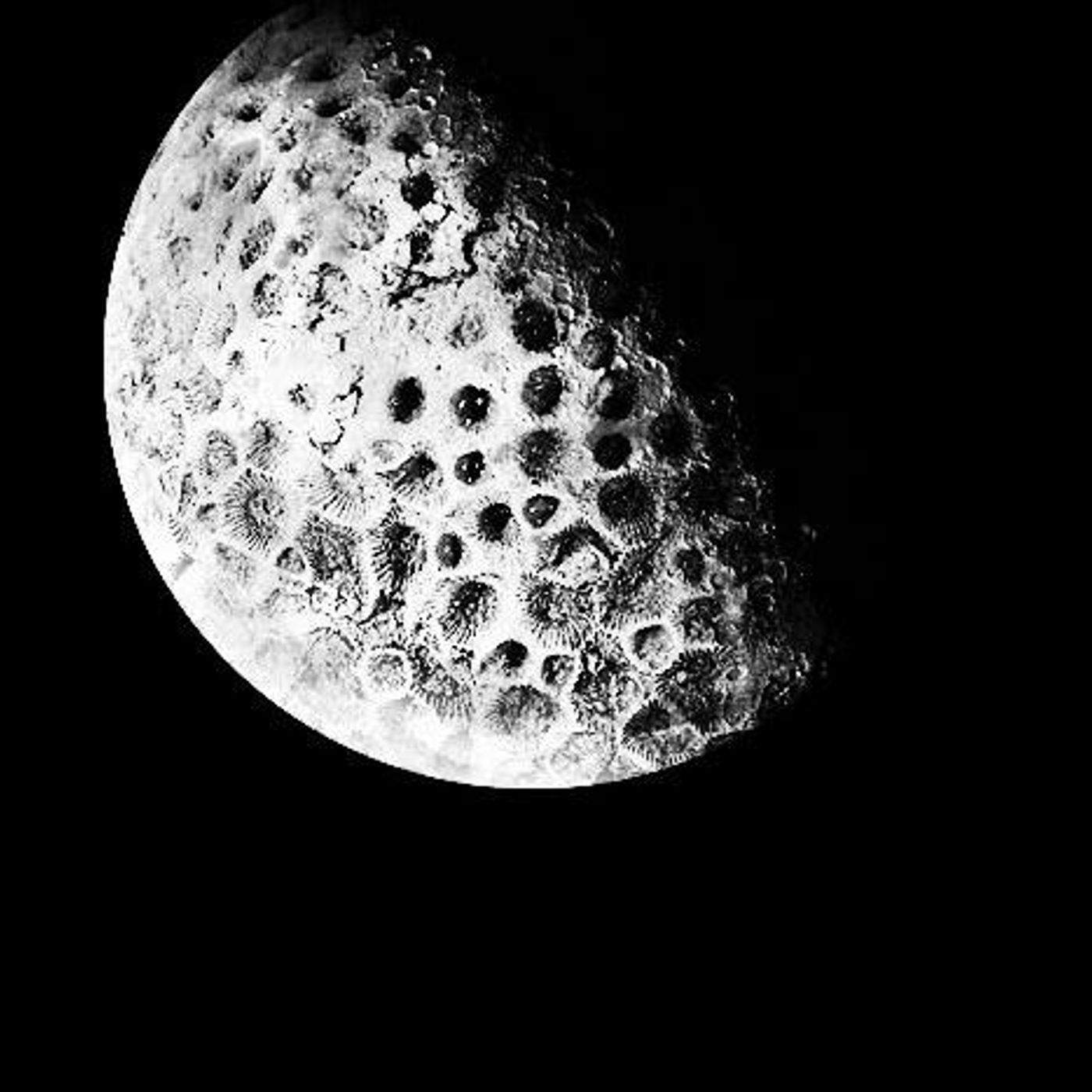 The Times They Are a-Changin' by WNYC Studios