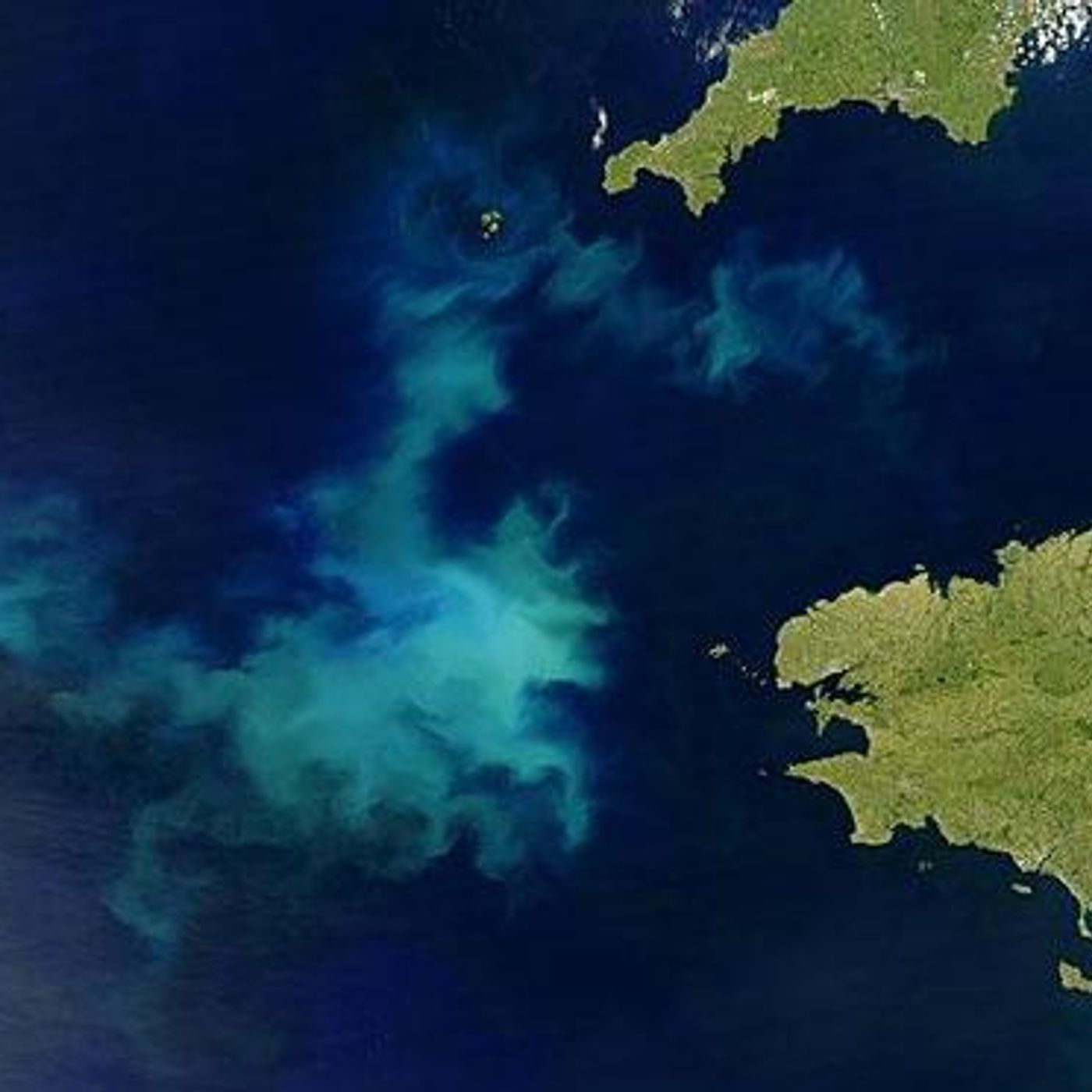 A War We Need by WNYC Studios