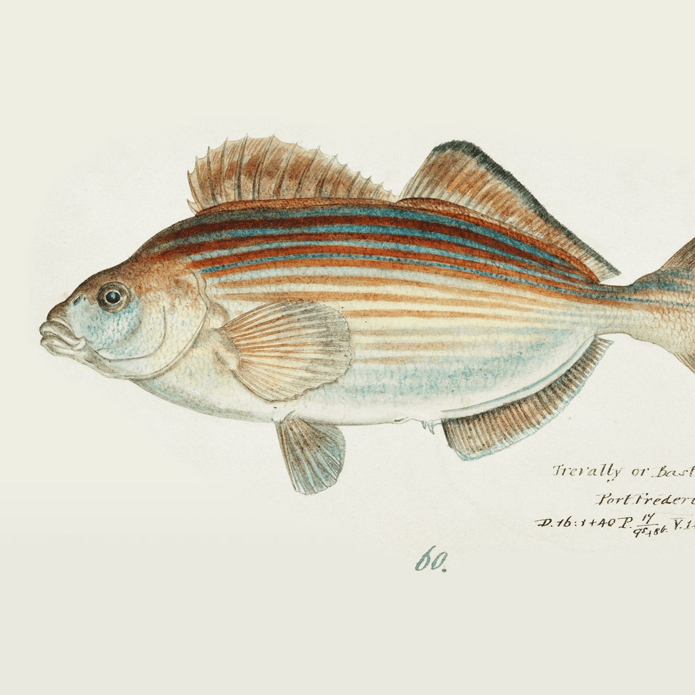 The Wordless Place by WNYC Studios