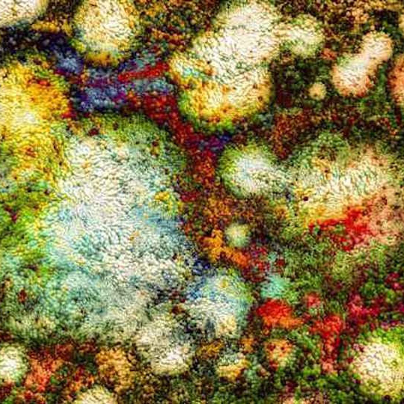 Funky Hand Jive by WNYC Studios