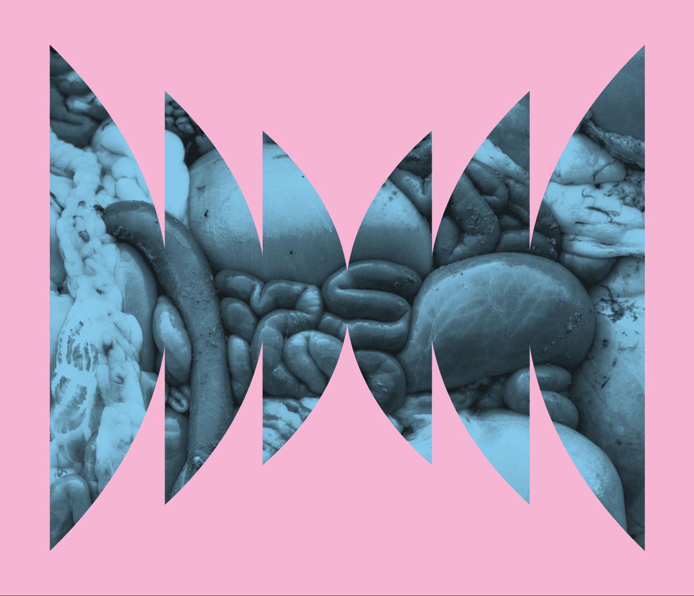 Guts by WNYC Studios