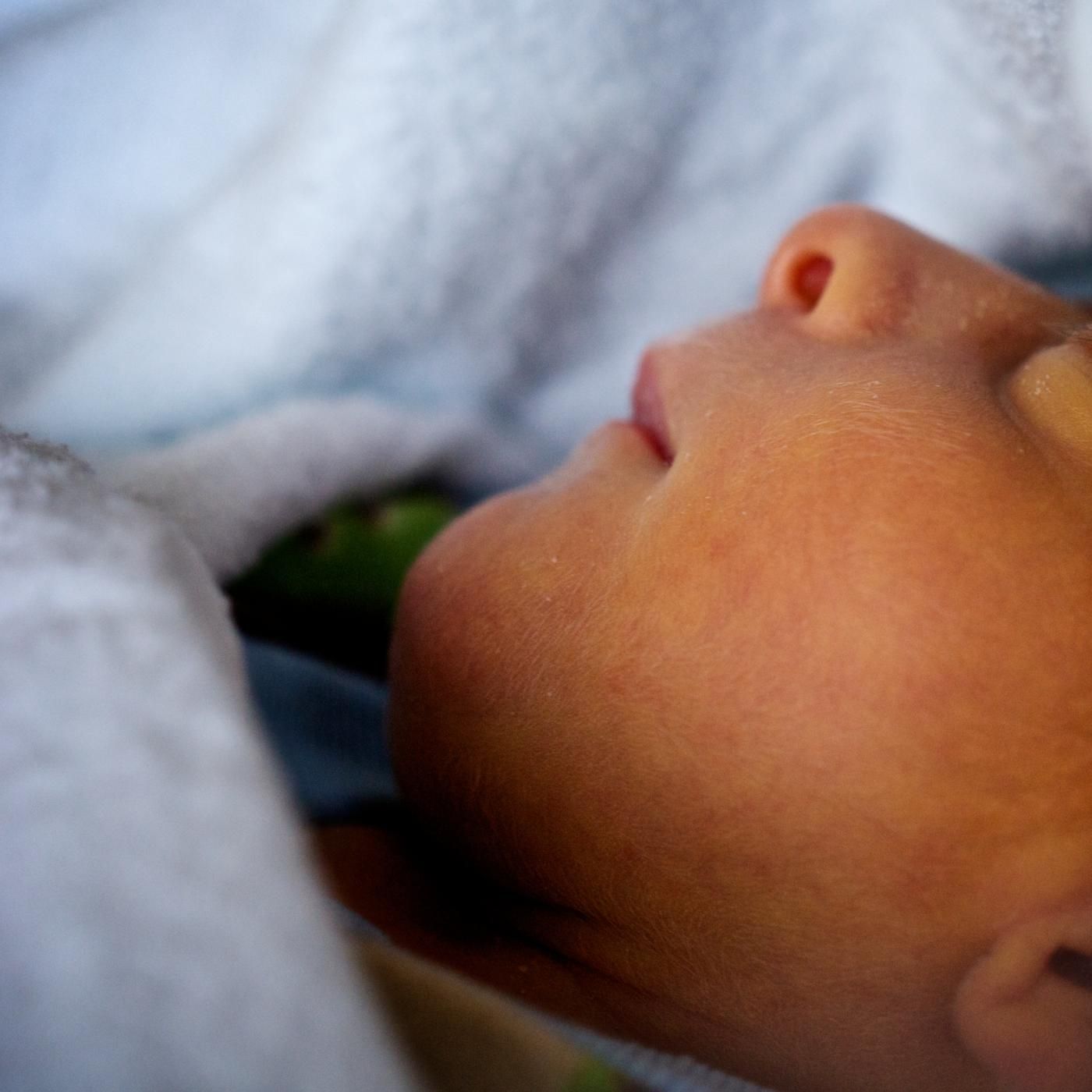 Gray's Donation by WNYC Studios