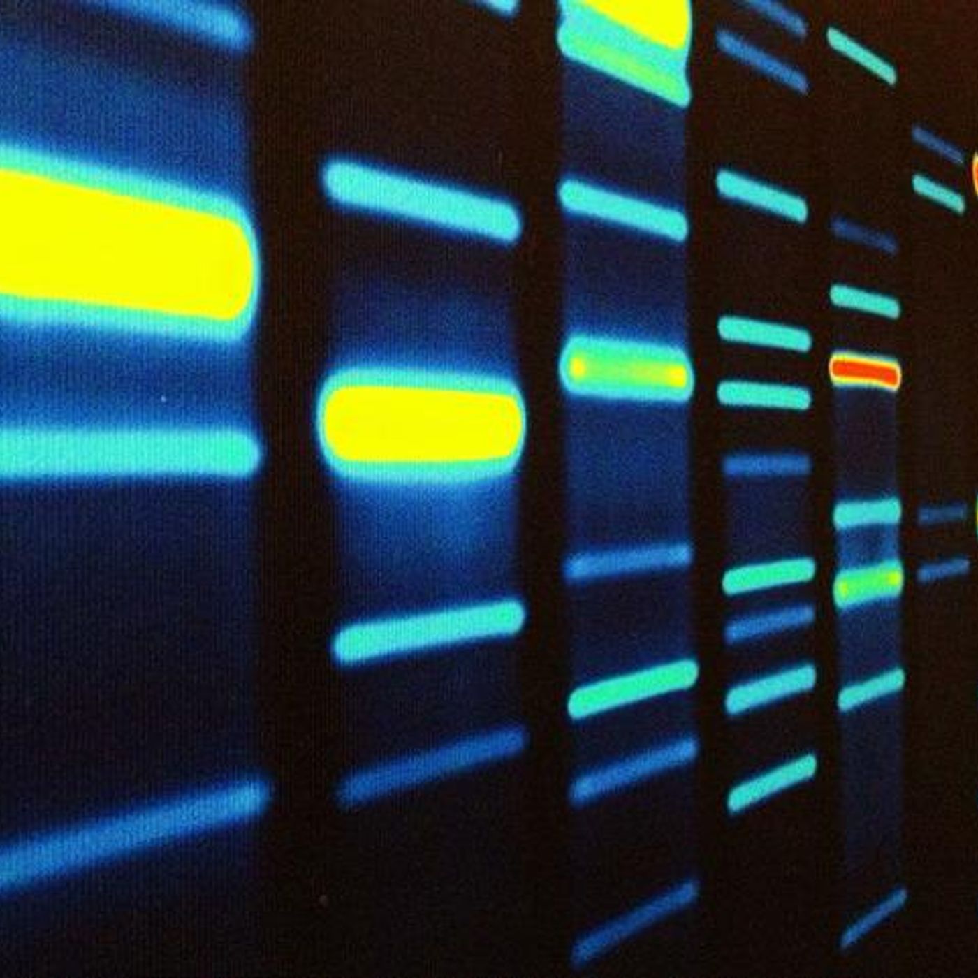 Infective Heredity by WNYC Studios