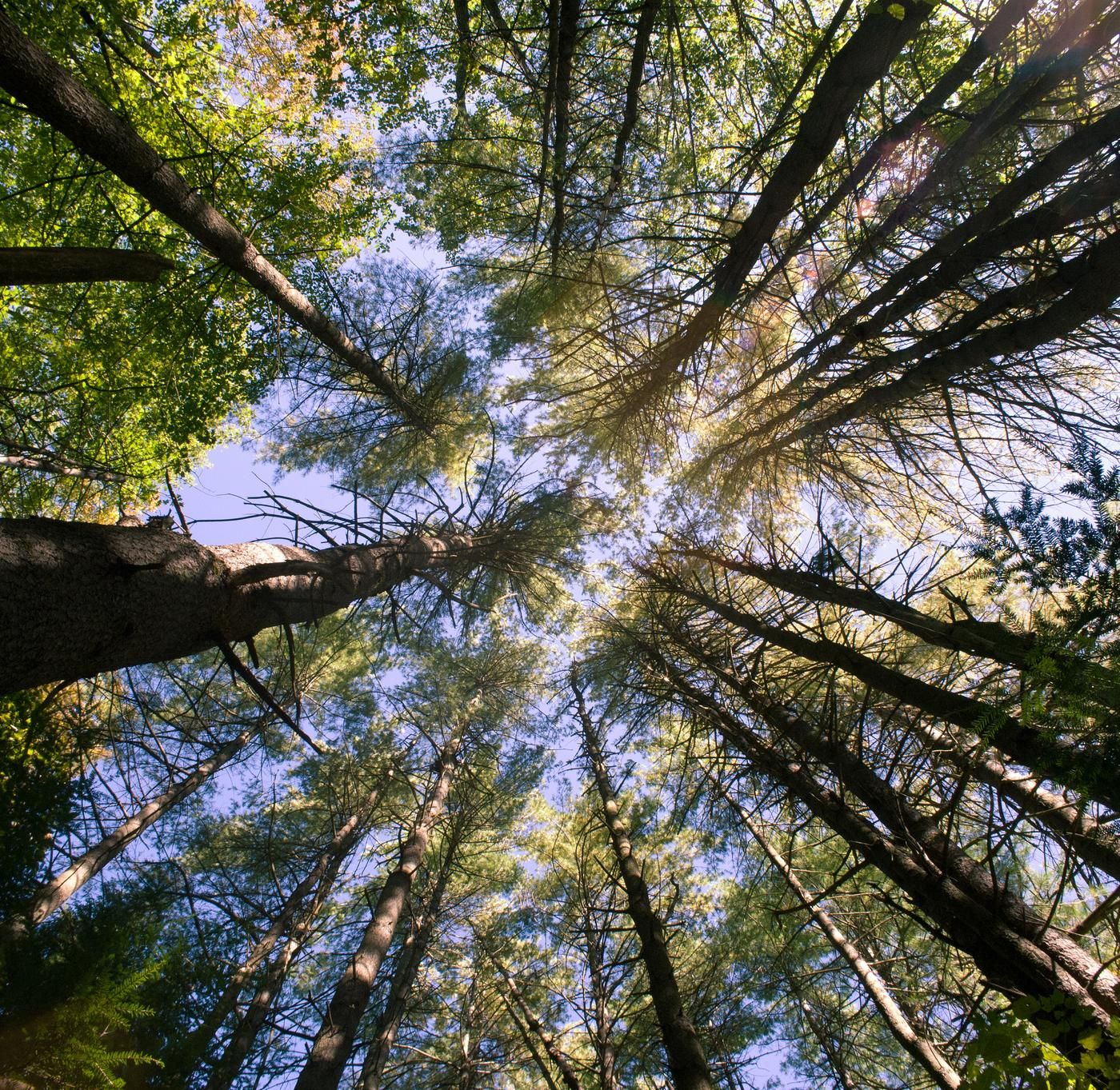 The Buried Bodies Case by WNYC Studios