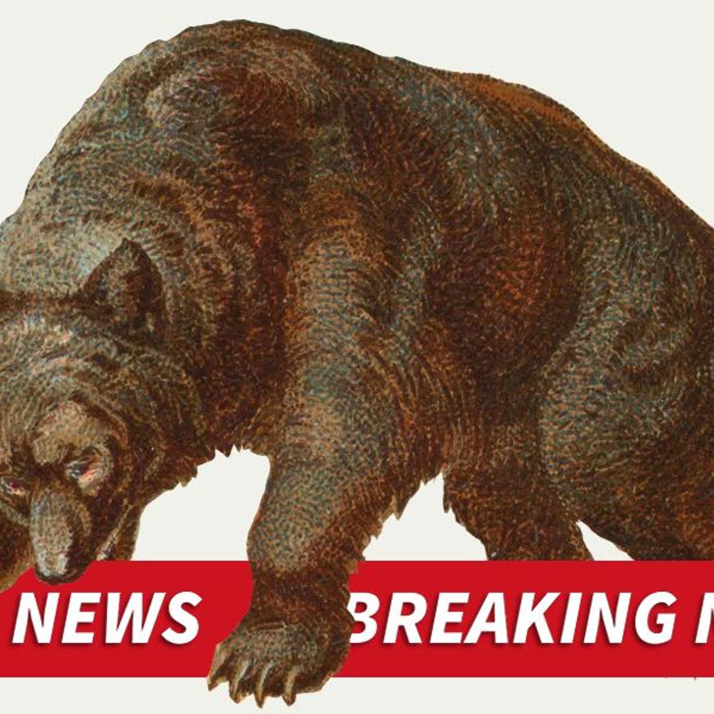 Breaking Bad News Bears by WNYC Studios