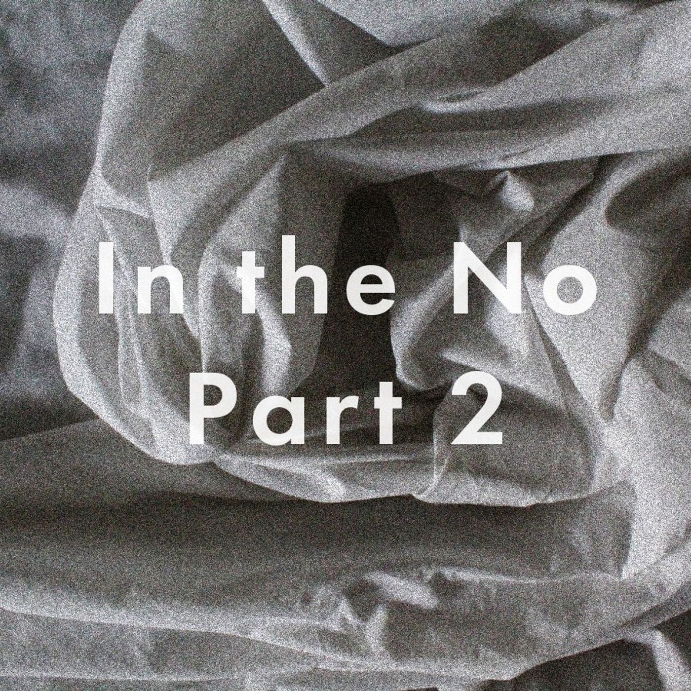 In the No Part 2 by WNYC Studios